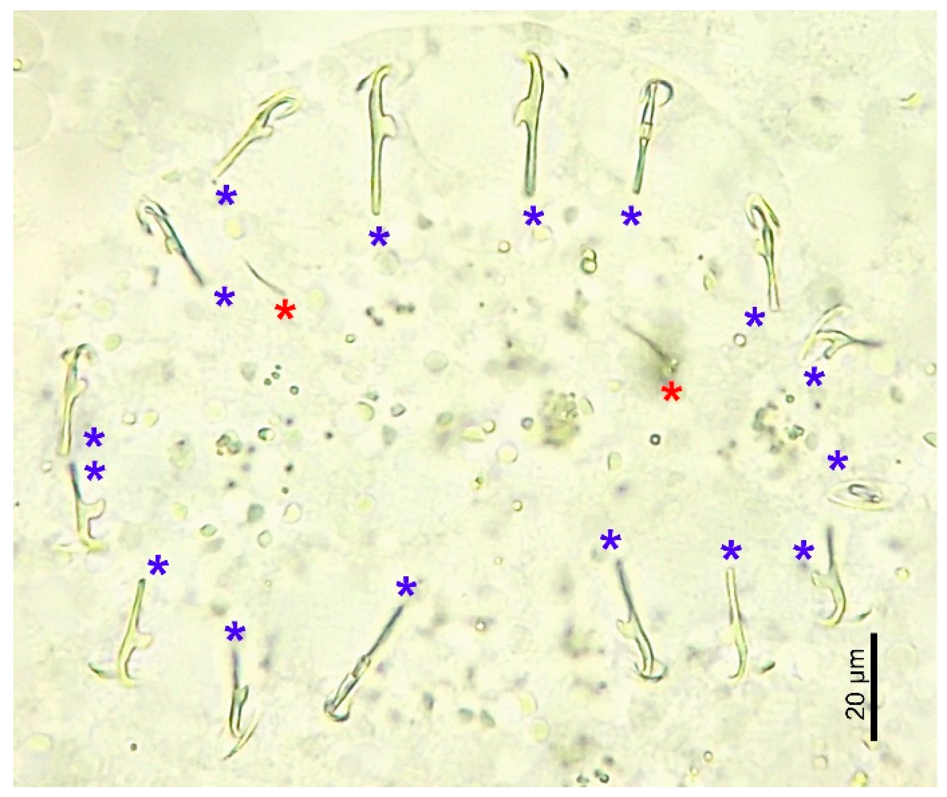 Parasitologia 05 00017 g007