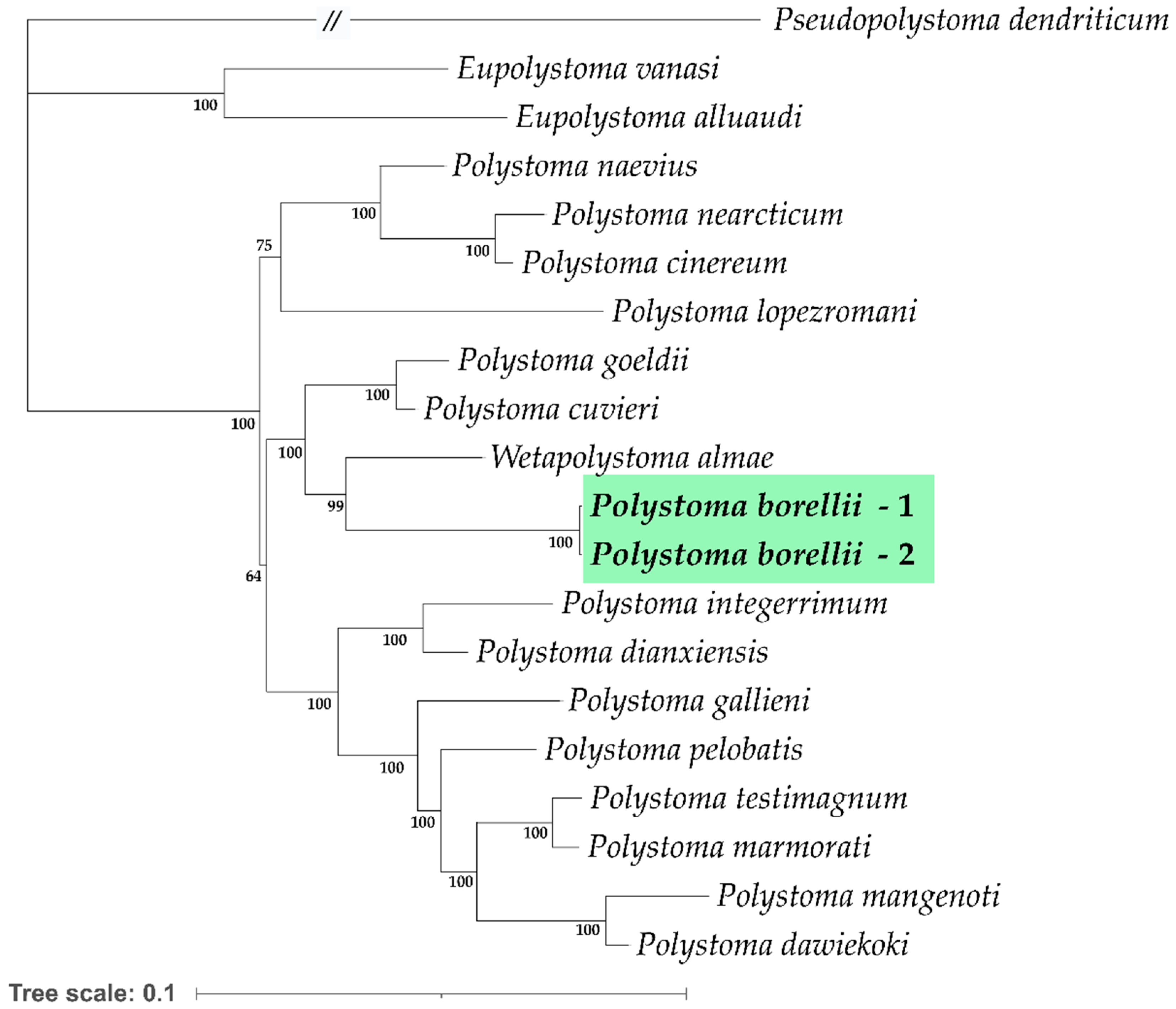Parasitologia 05 00017 g008