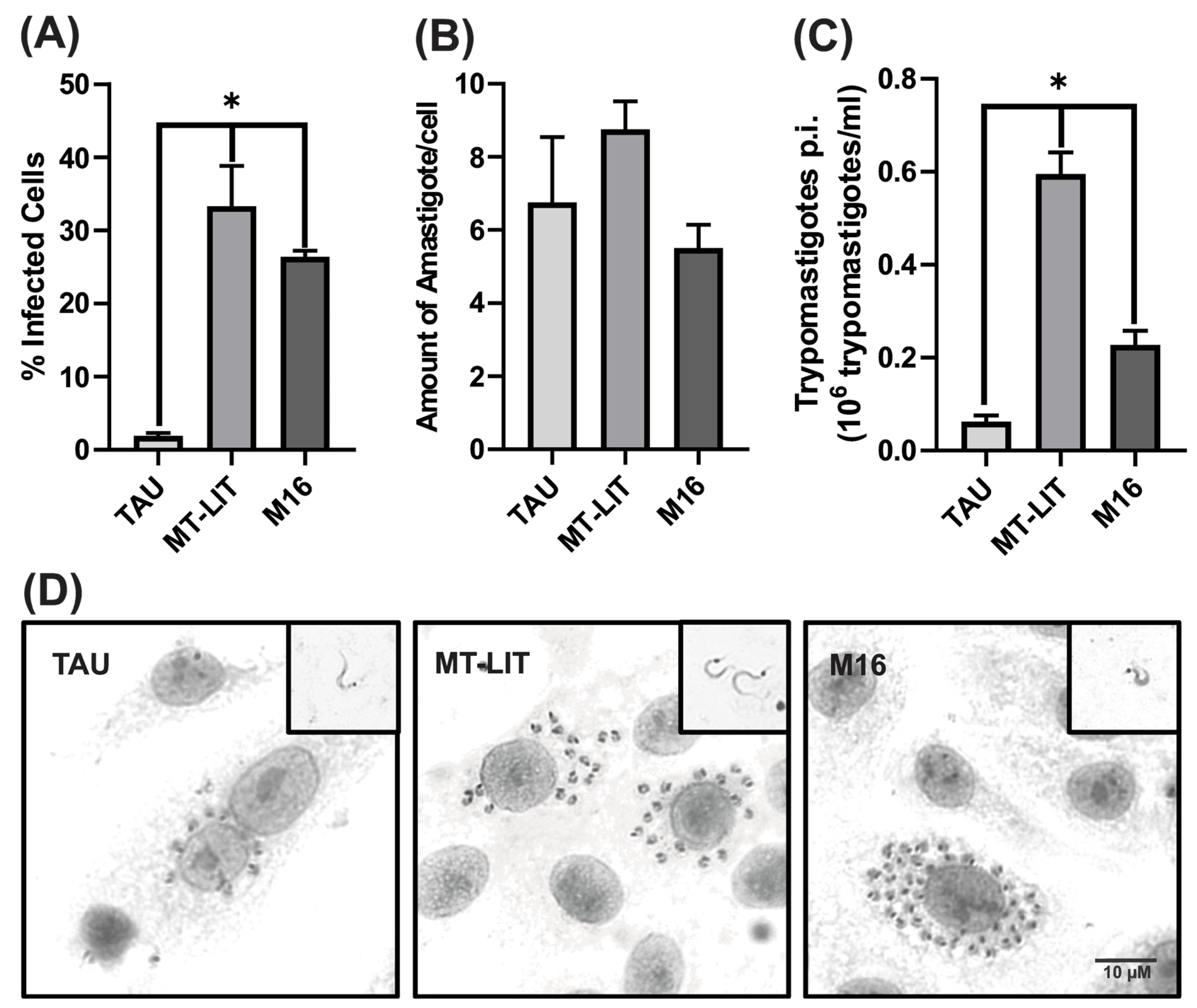 Parasitologia 05 00020 g003 Parasitologia 05 00020 g003