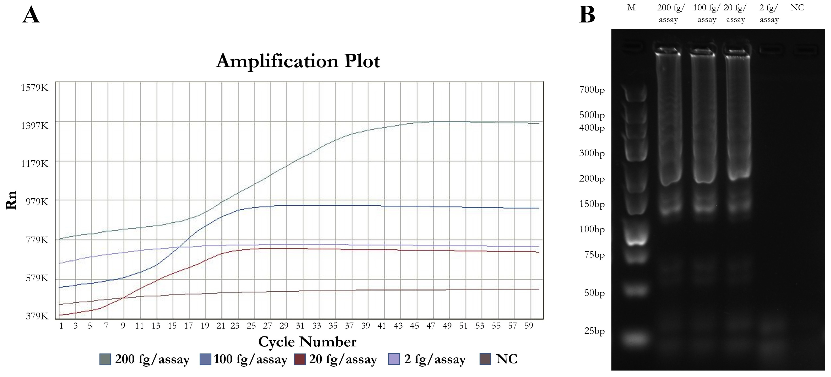 Parasitologia 05 00025 g001