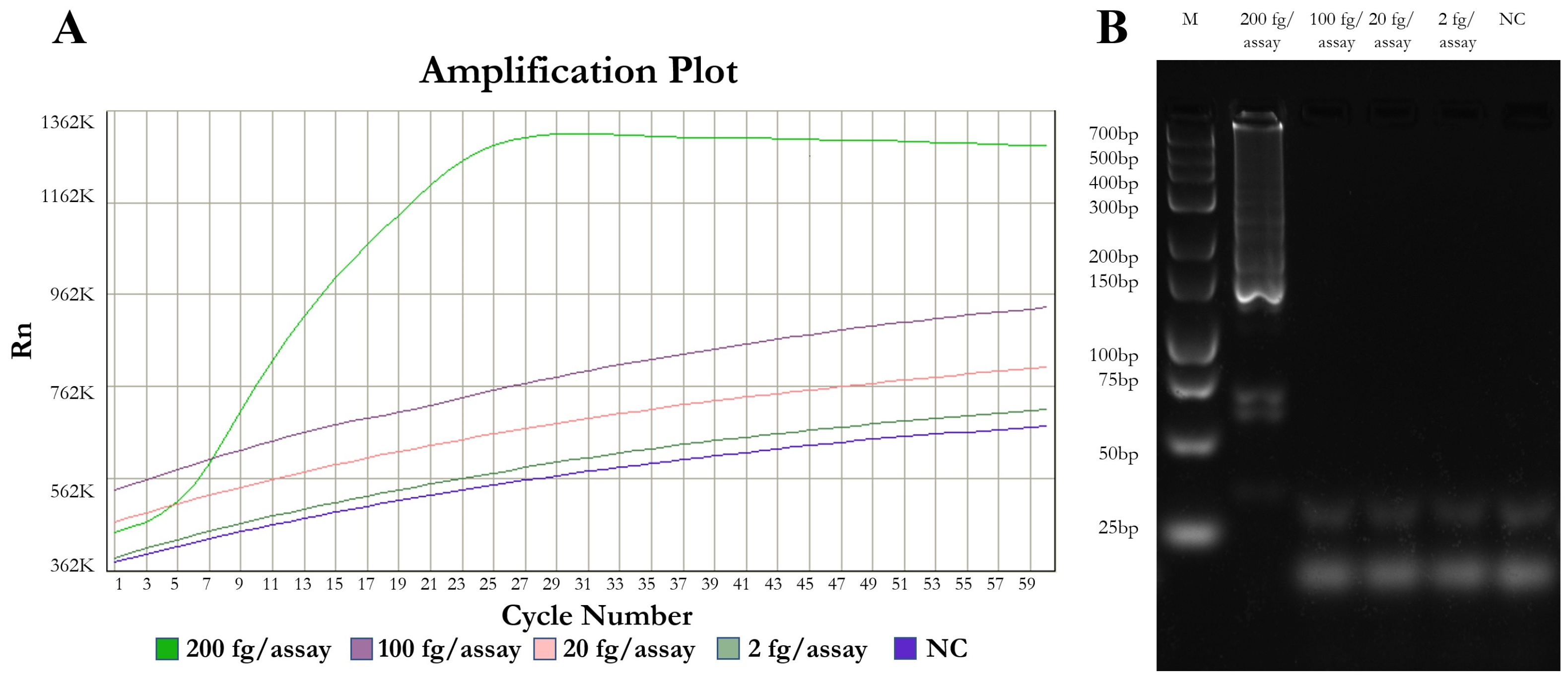 Parasitologia 05 00025 g002