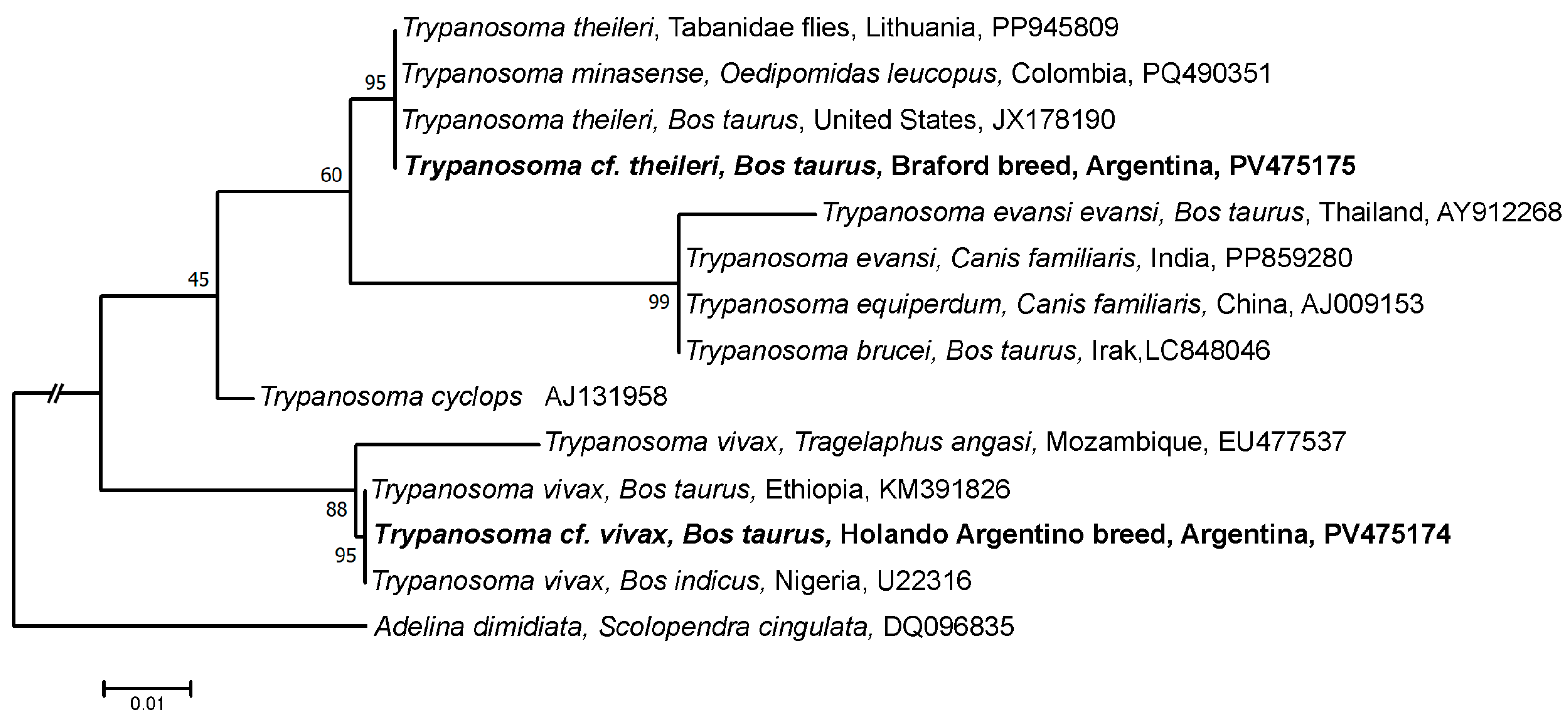 Parasitologia 05 00027 g003