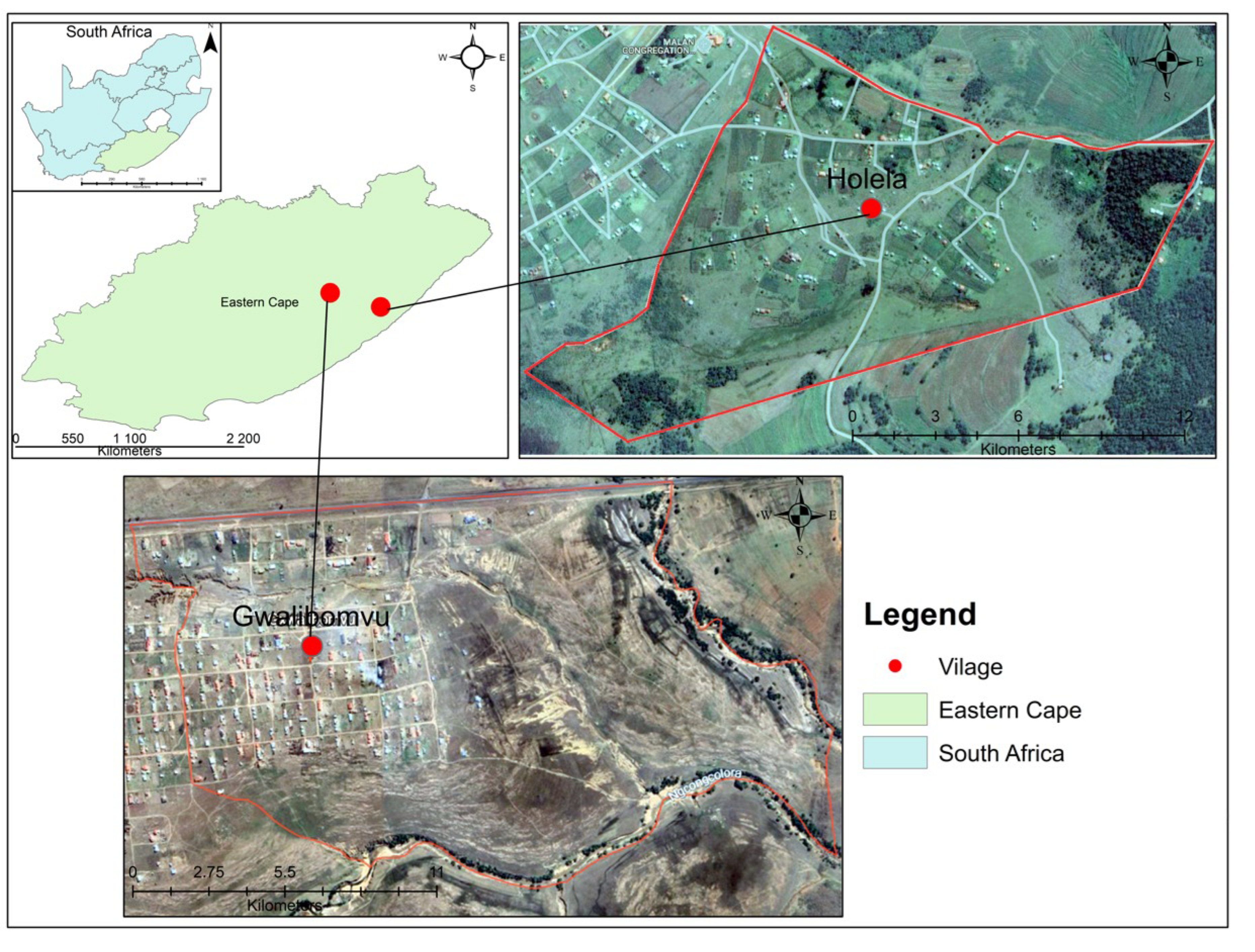 Parasitologia 05 00028 g001