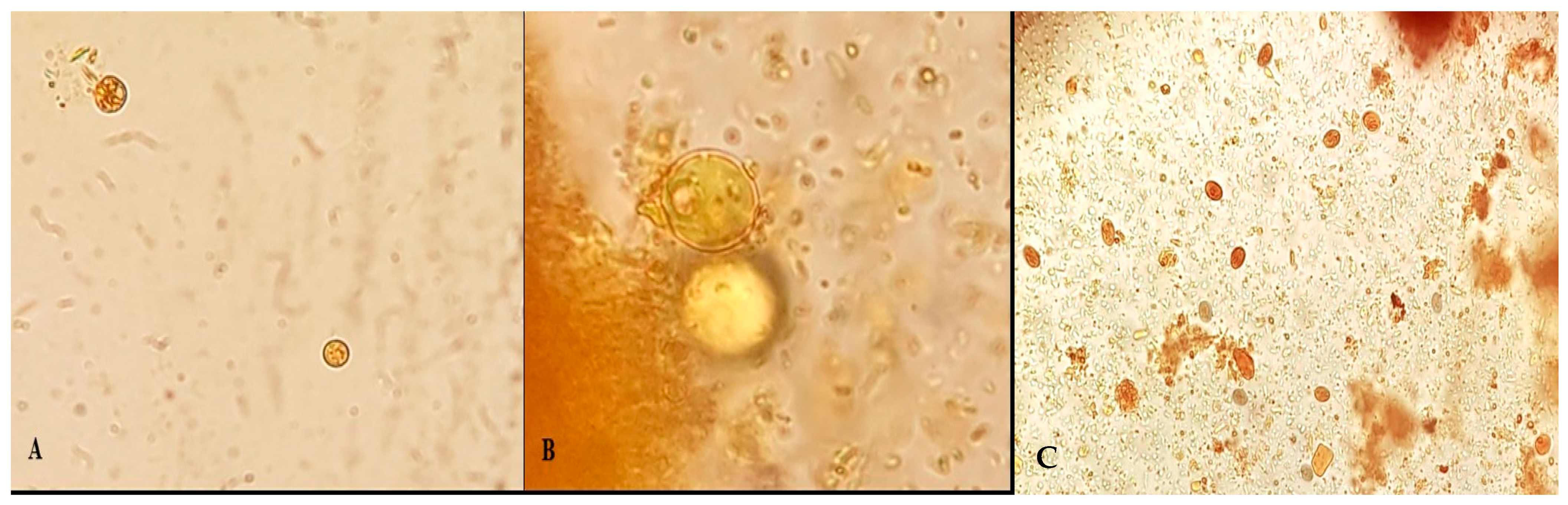 Parasitologia 05 00034 g003