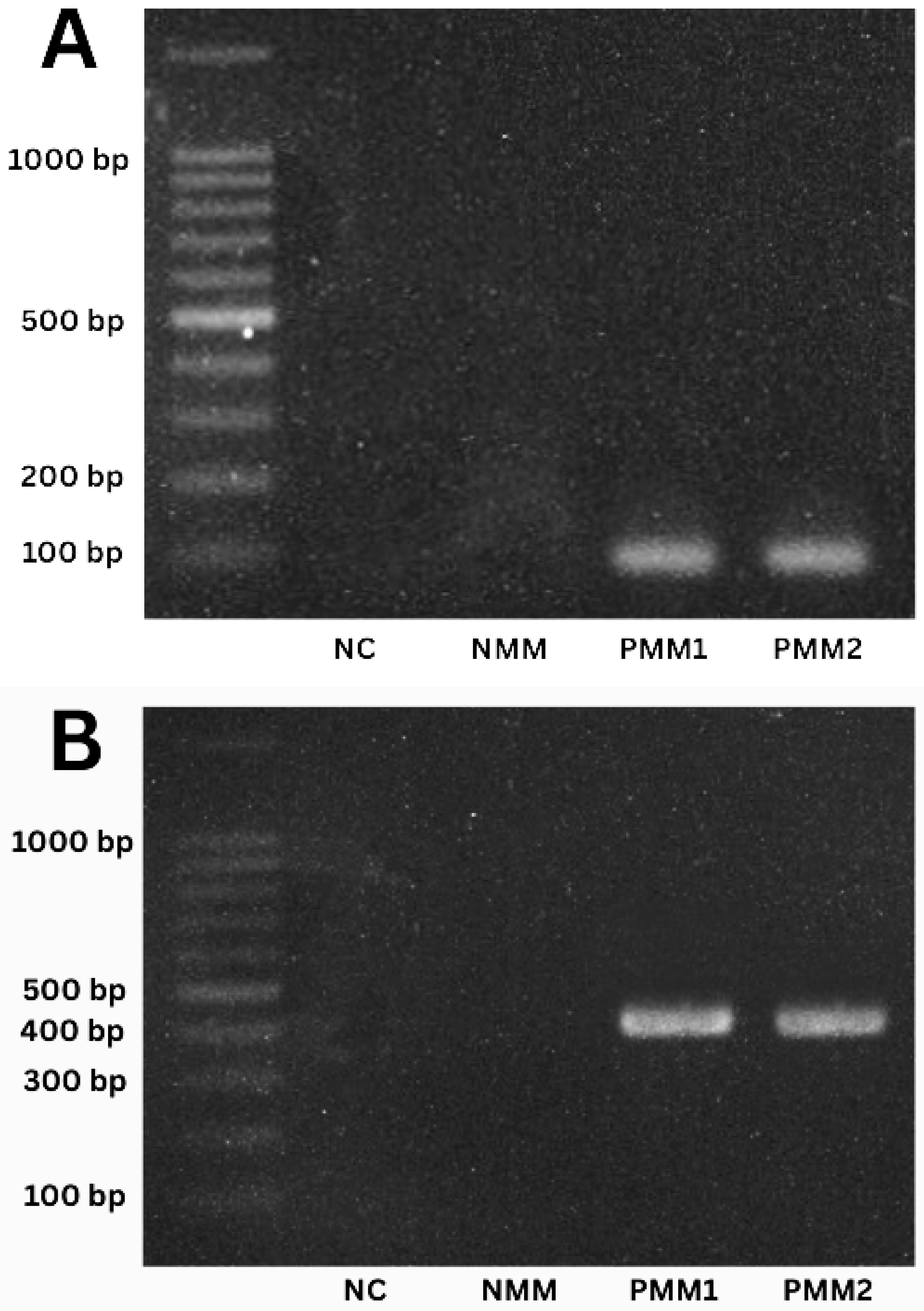 Parasitologia 05 00046 g006