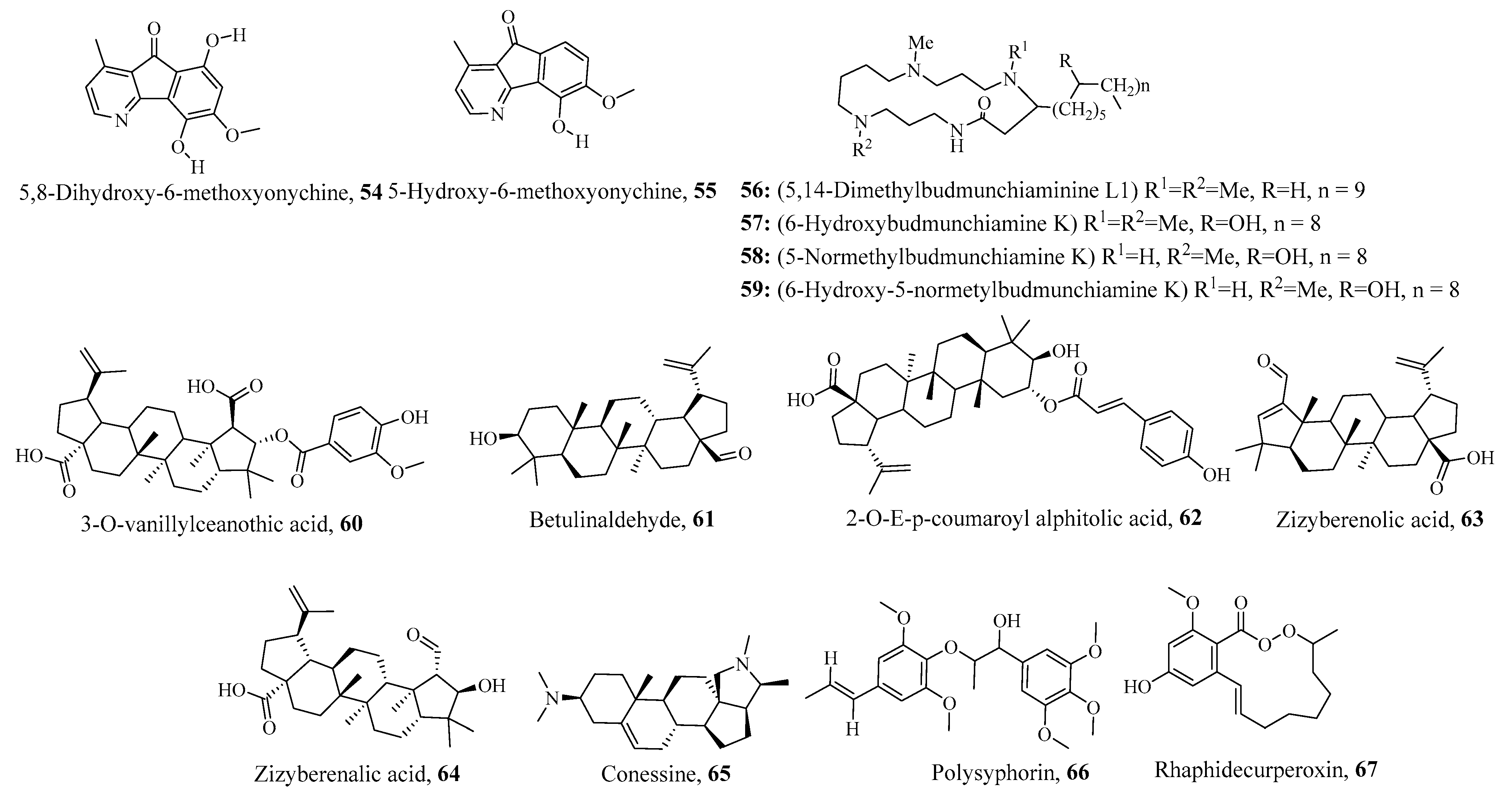 Parasitologia 05 00049 g007 Parasitologia 05 00049 g007