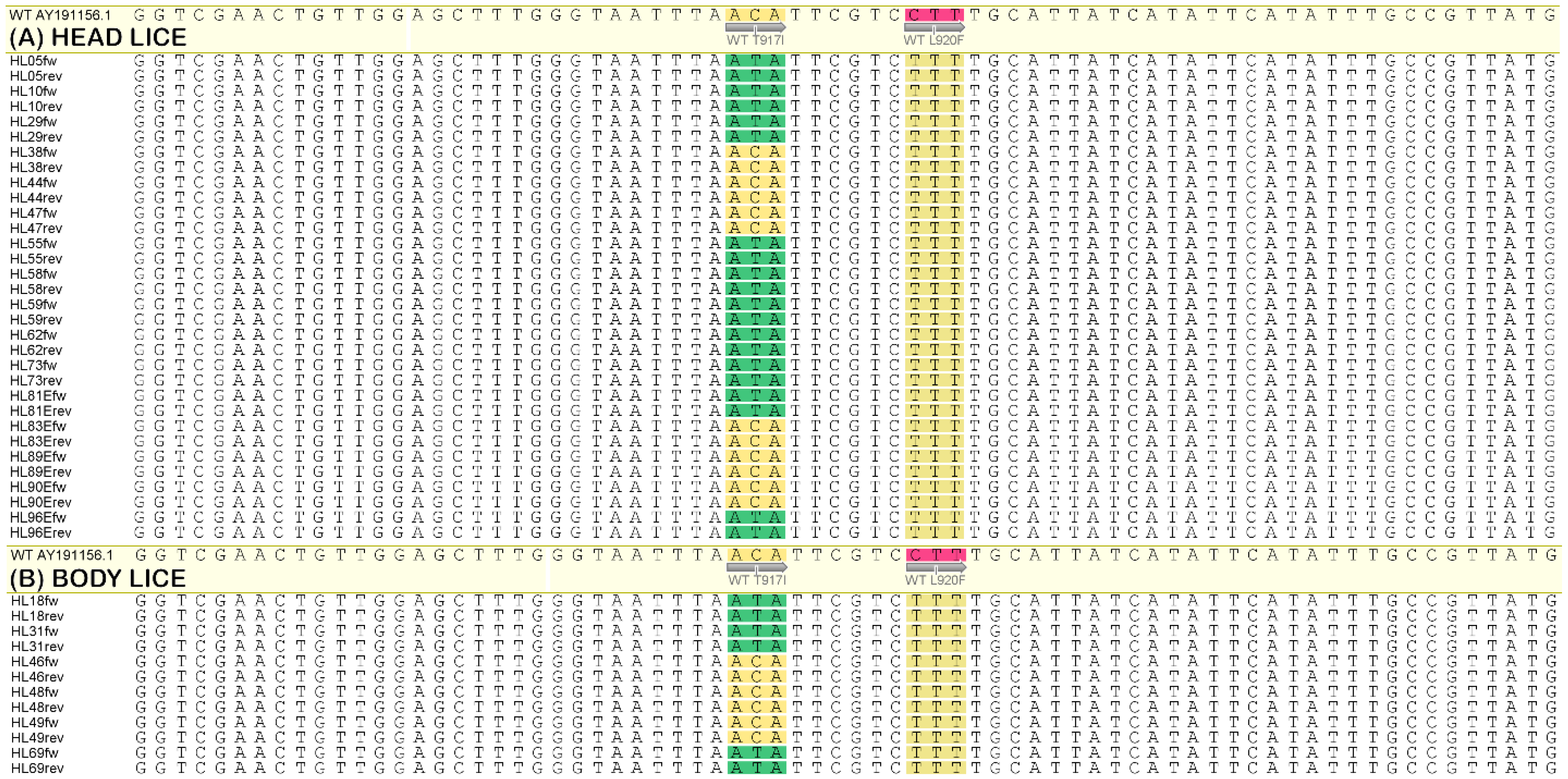 Parasitologia 05 00057 g002
