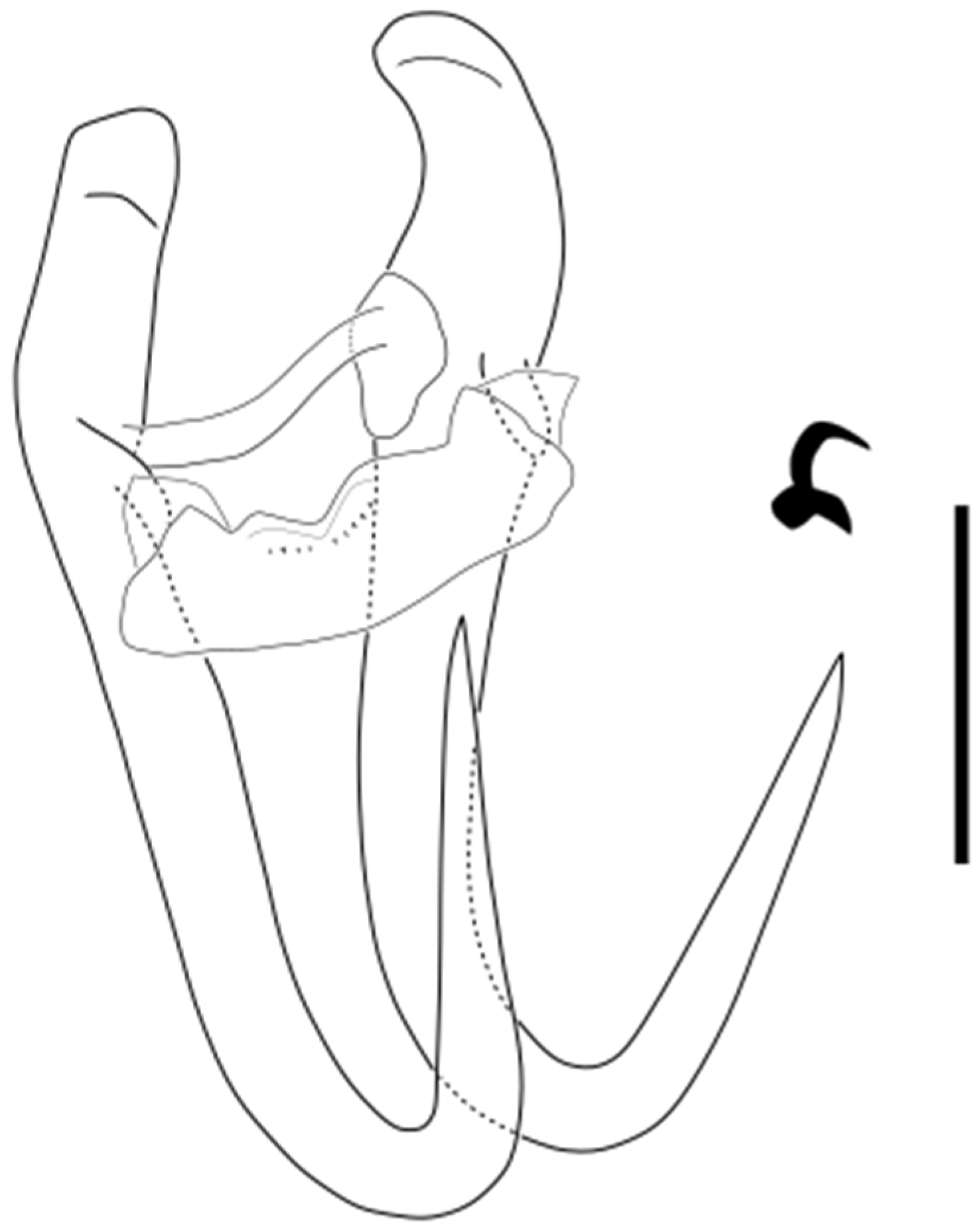 Parasitologia 05 00061 g001