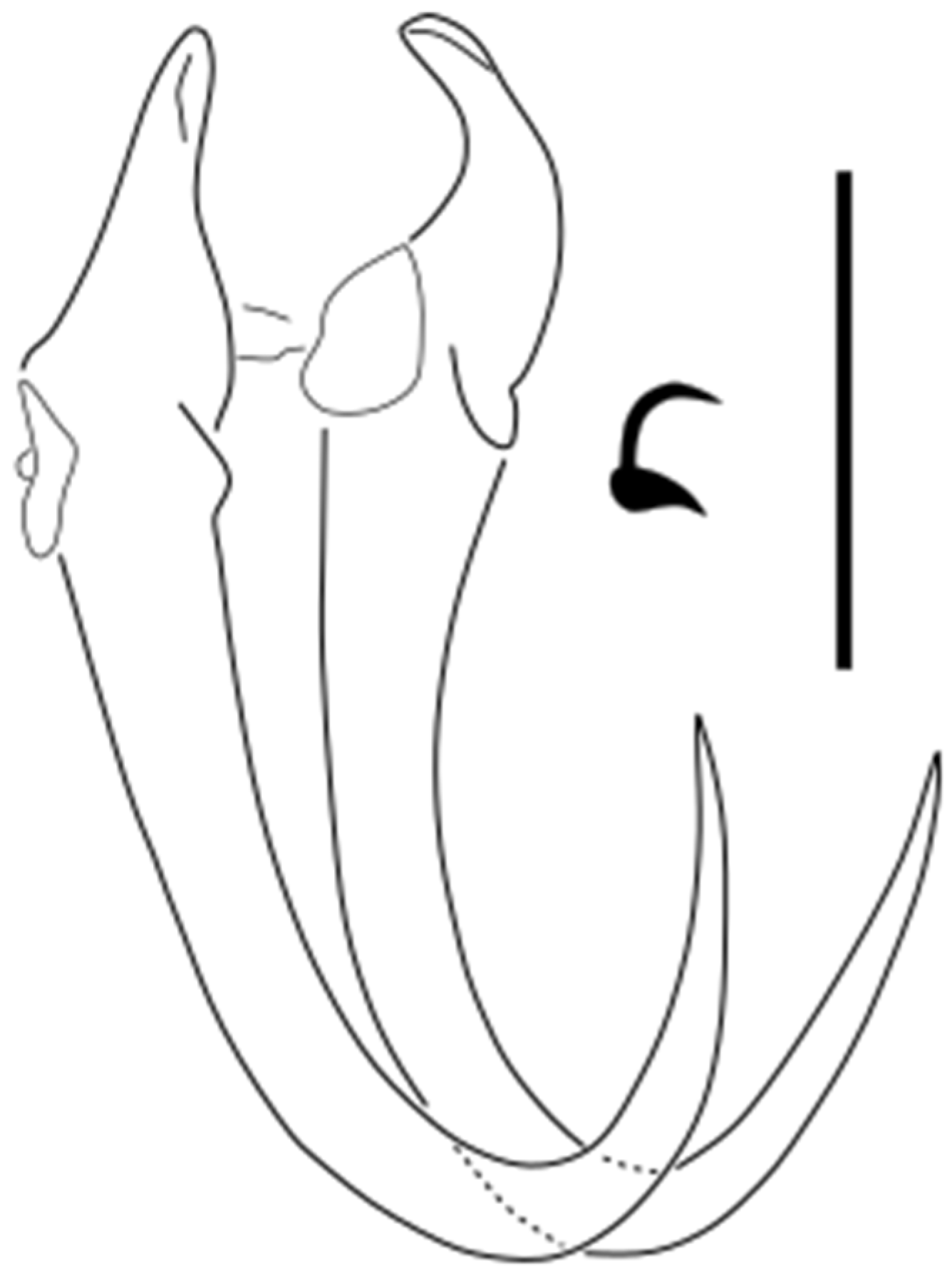 Parasitologia 05 00061 g002