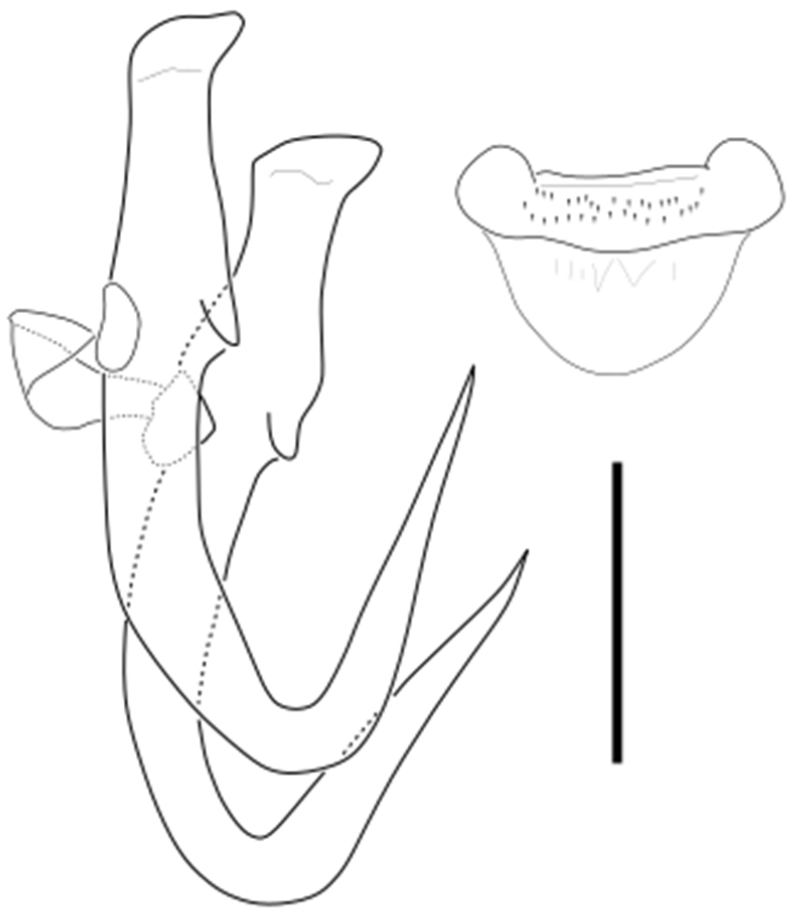 Parasitologia 05 00061 g003