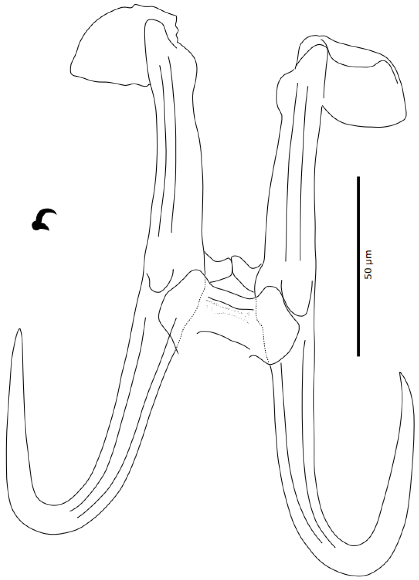 Parasitologia 05 00061 g004