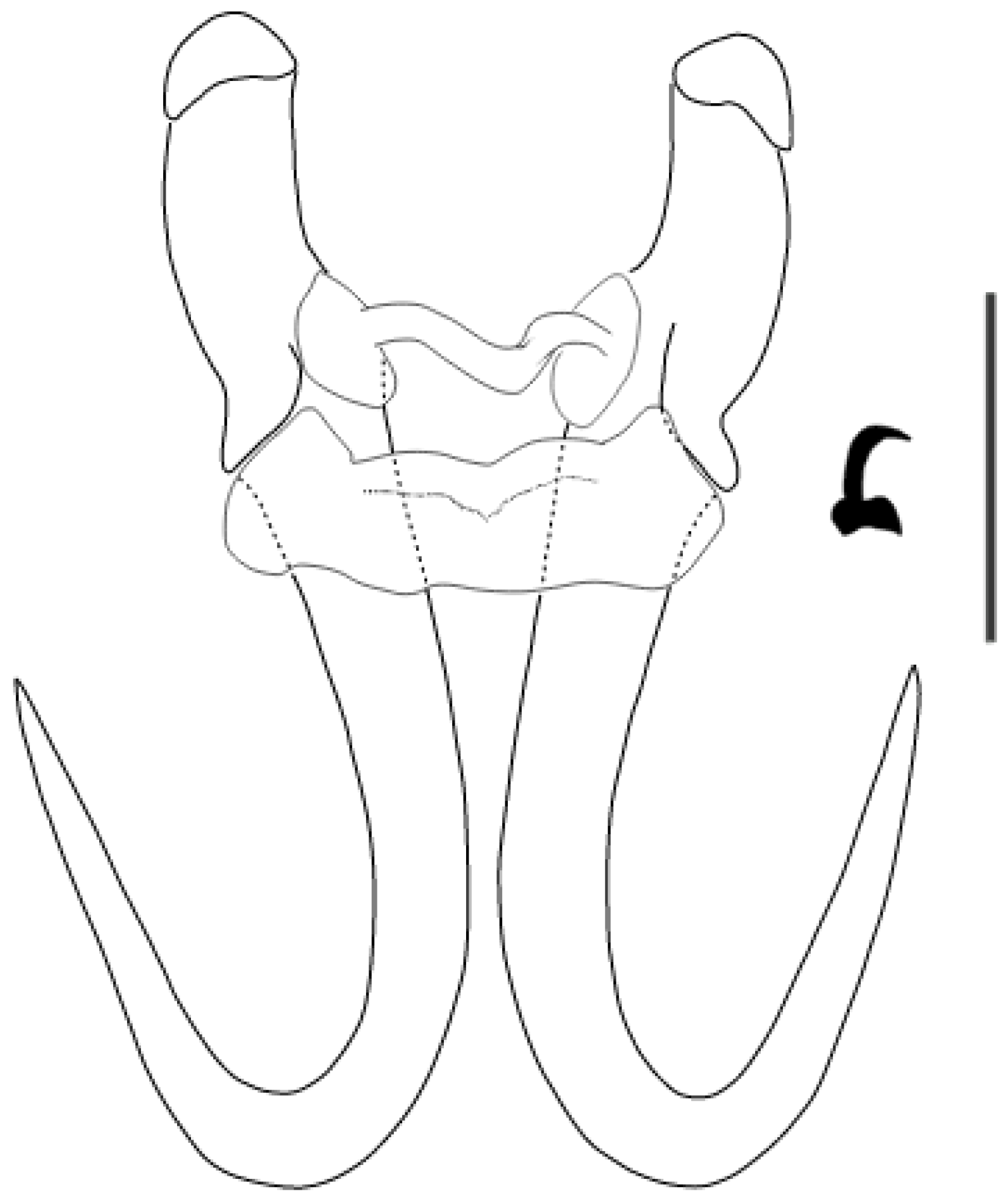 Parasitologia 05 00061 g005