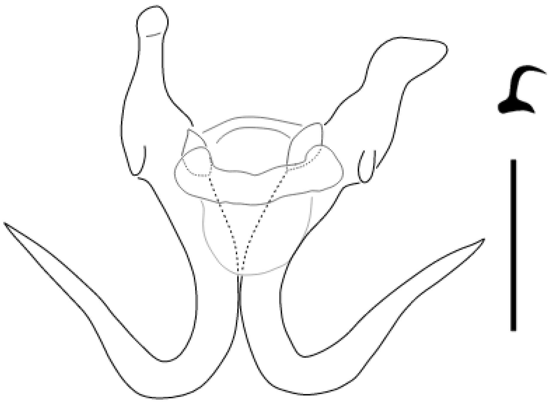 Parasitologia 05 00061 g006