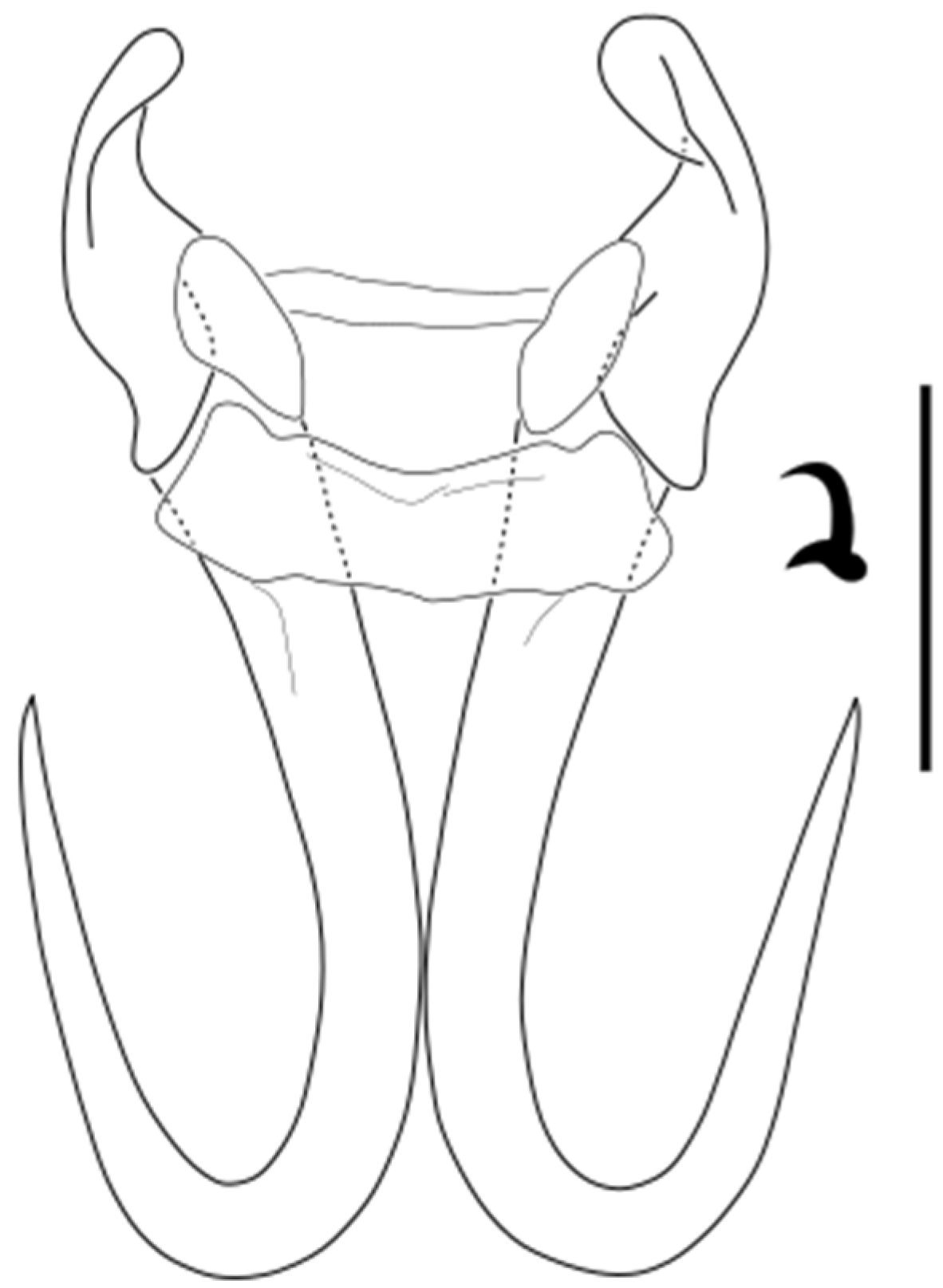 Parasitologia 05 00061 g007