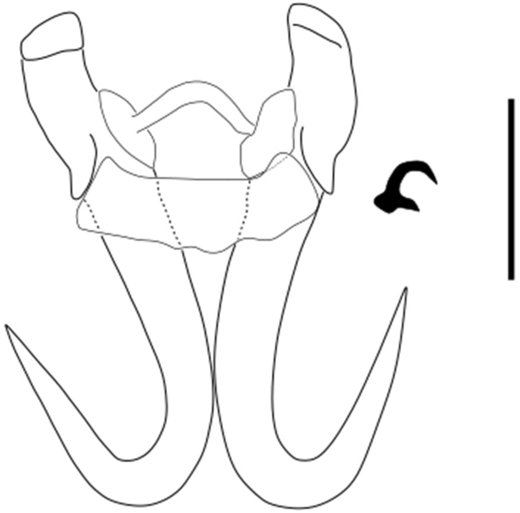 Parasitologia 05 00061 g008