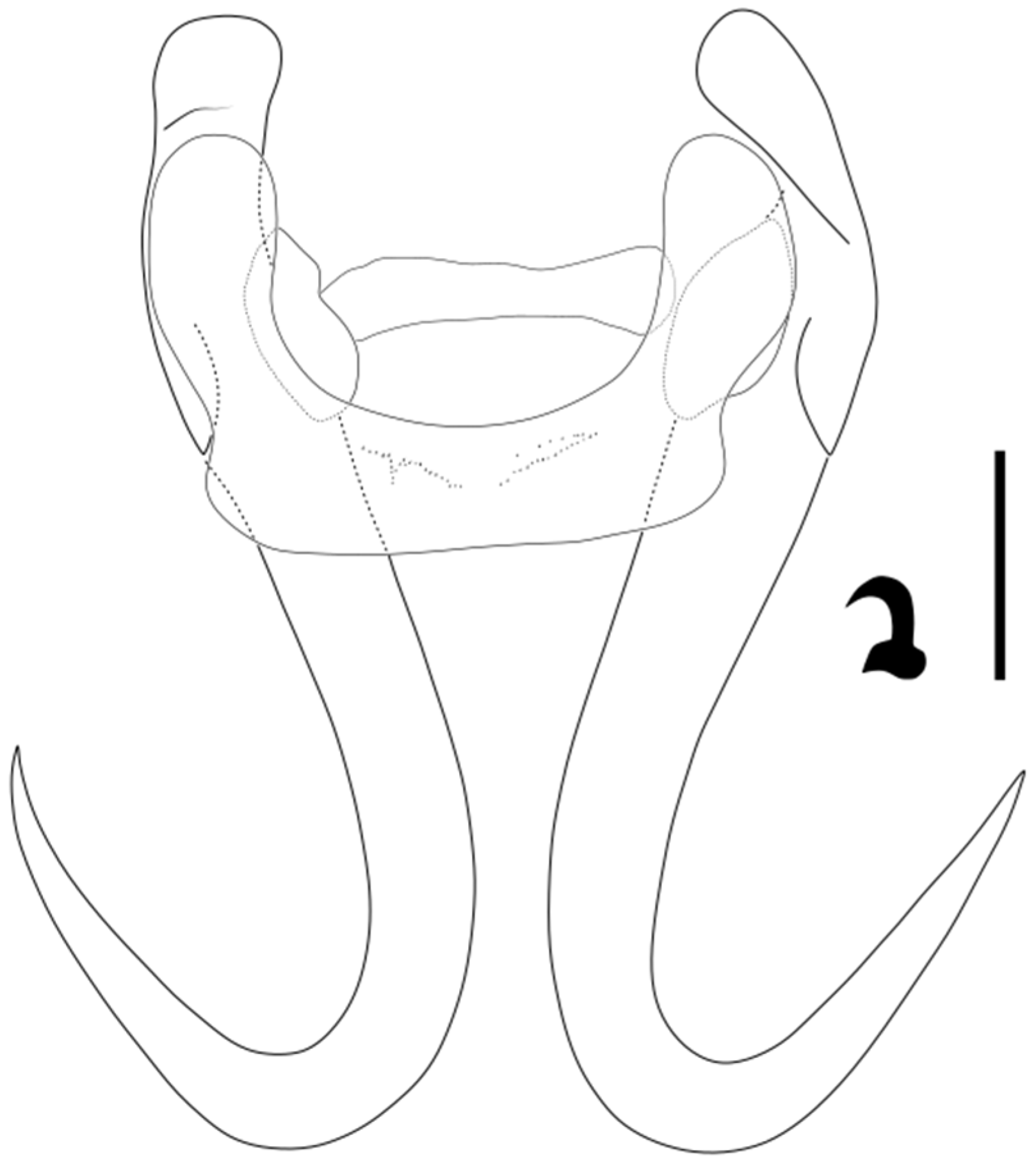 Parasitologia 05 00061 g010