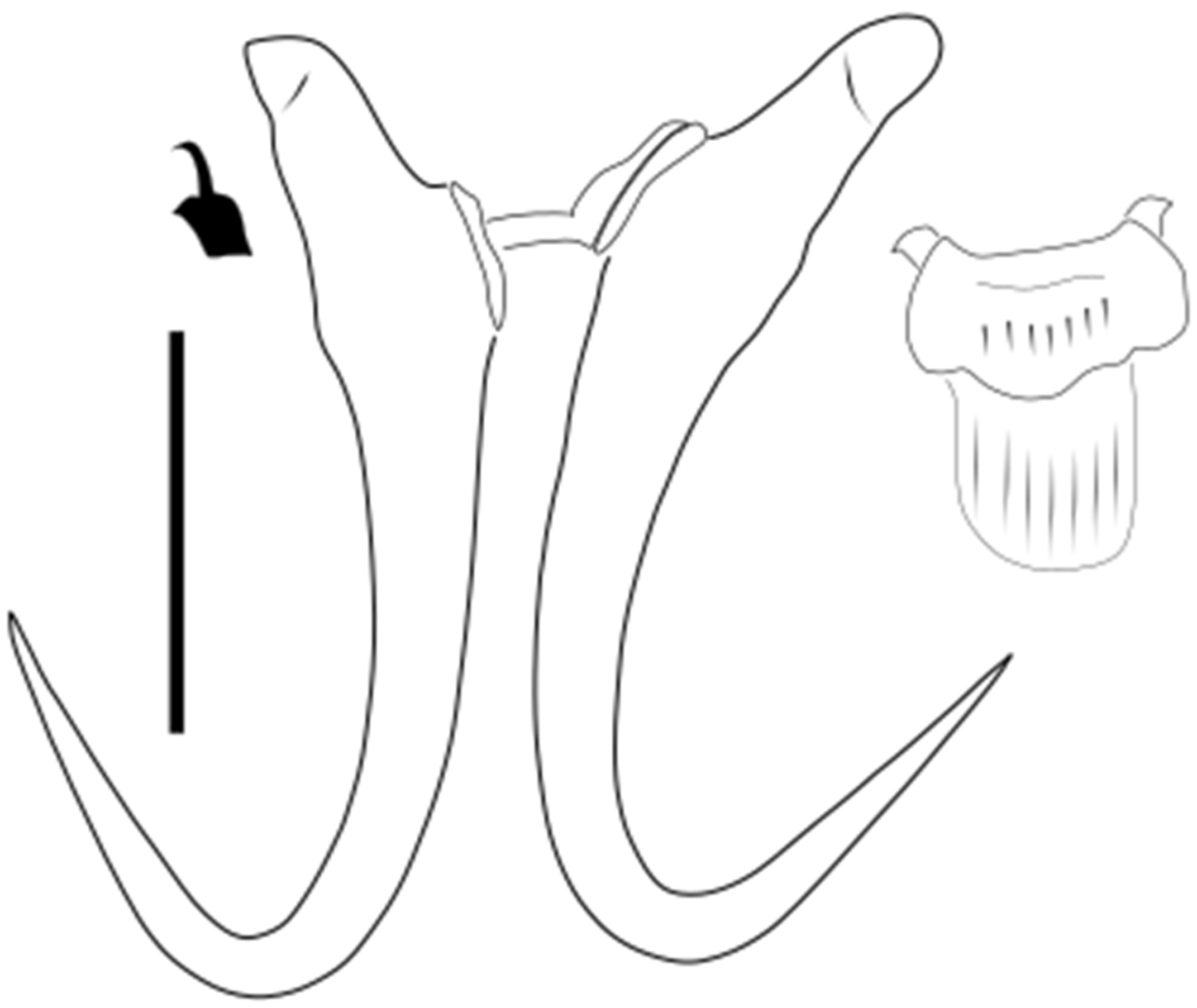 Parasitologia 05 00061 g012