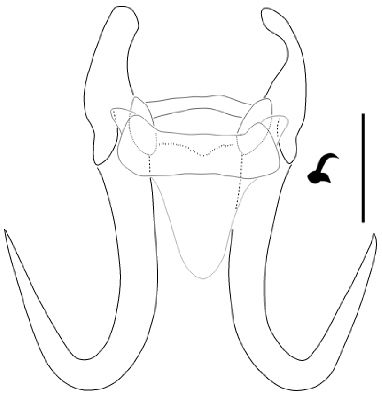 Parasitologia 05 00061 g013