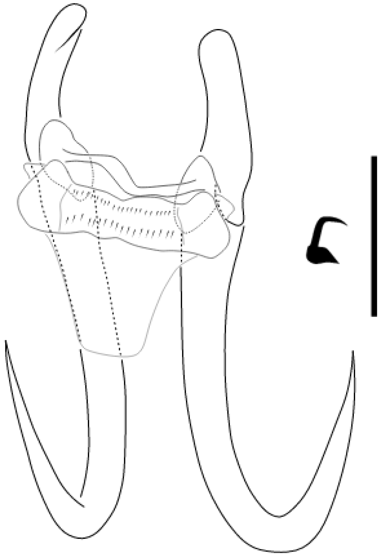 Parasitologia 05 00061 g014