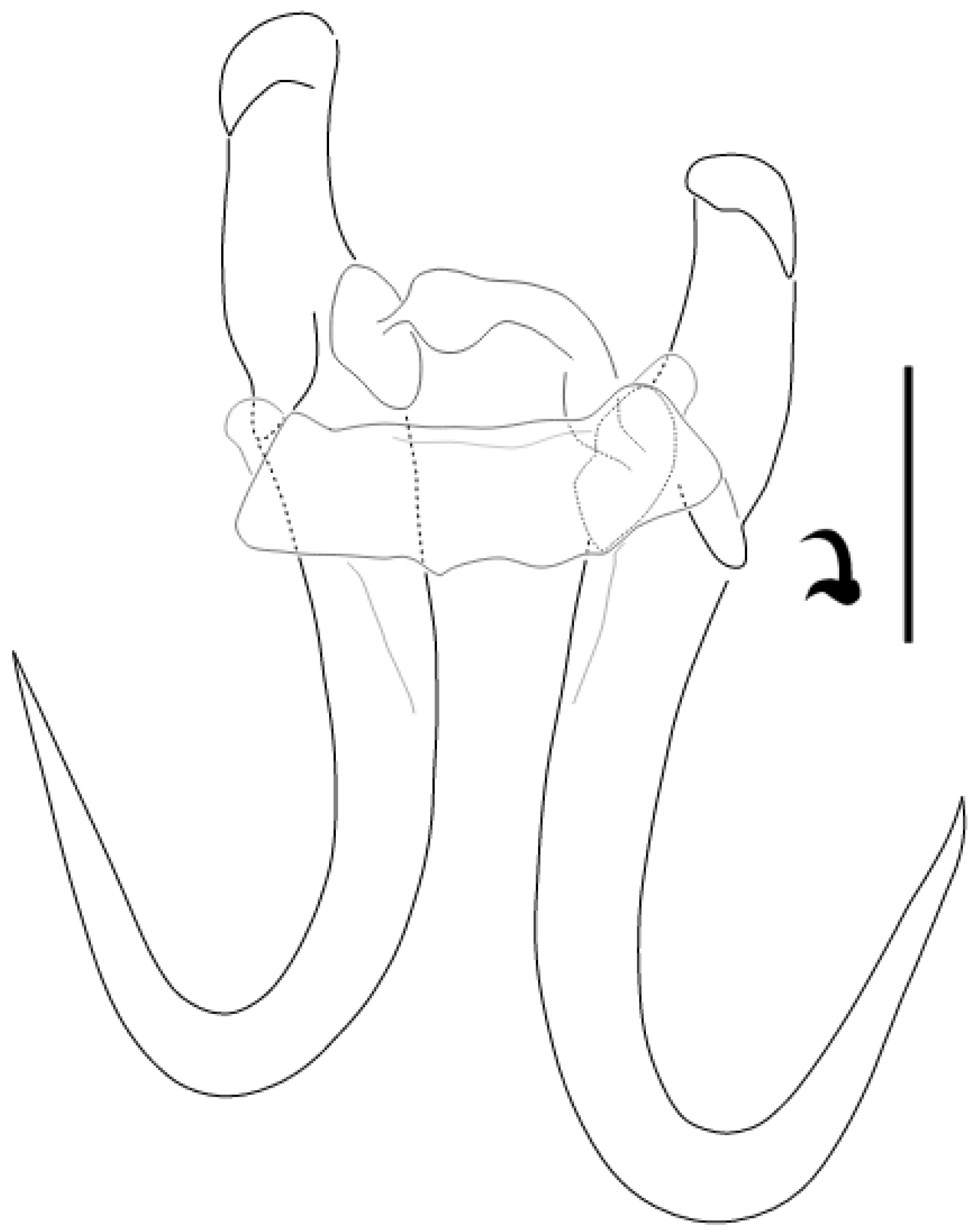 Parasitologia 05 00061 g015