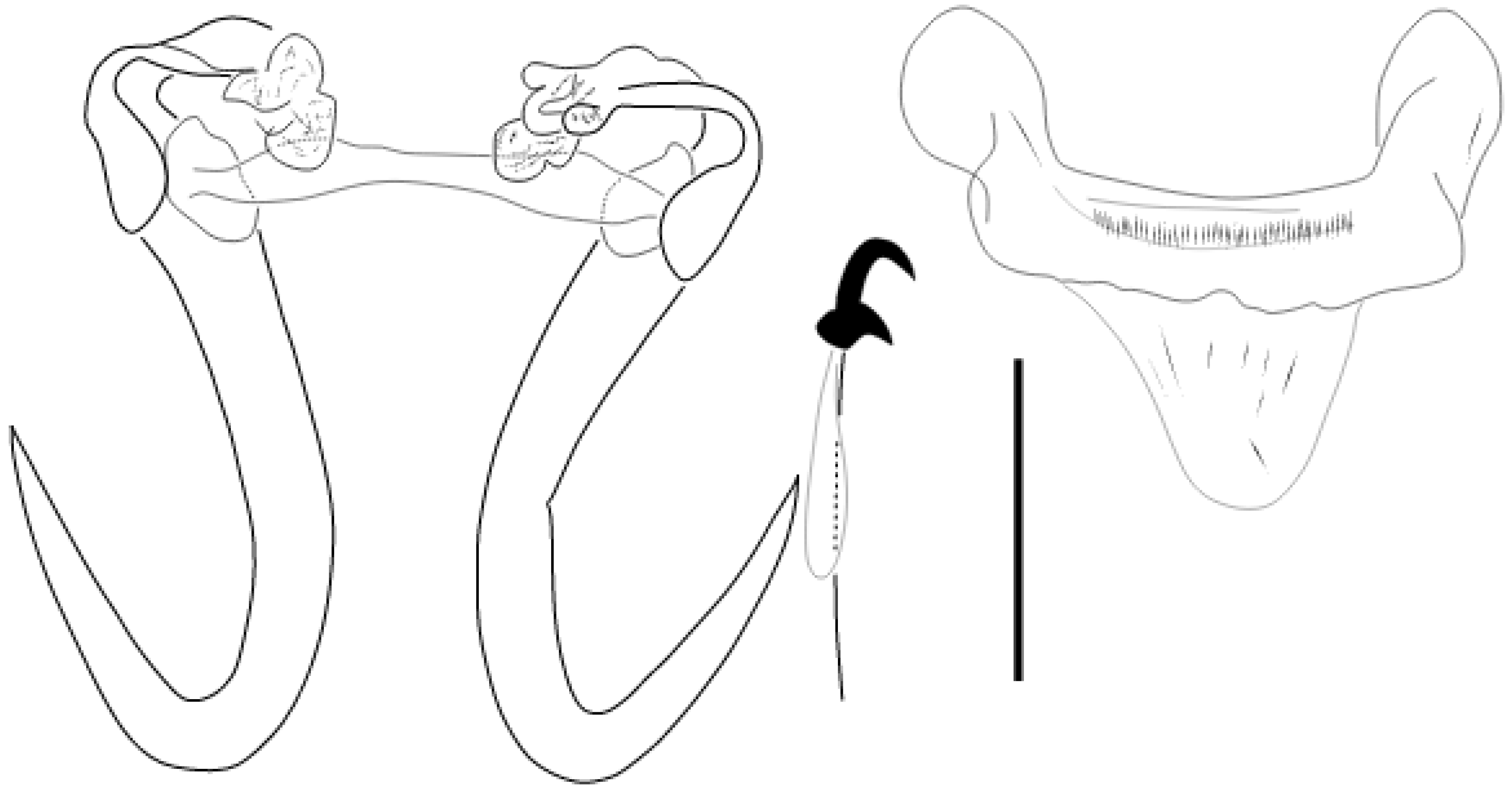 Parasitologia 05 00061 g017