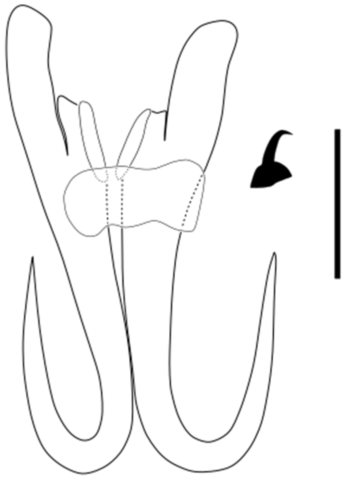 Parasitologia 05 00061 g018