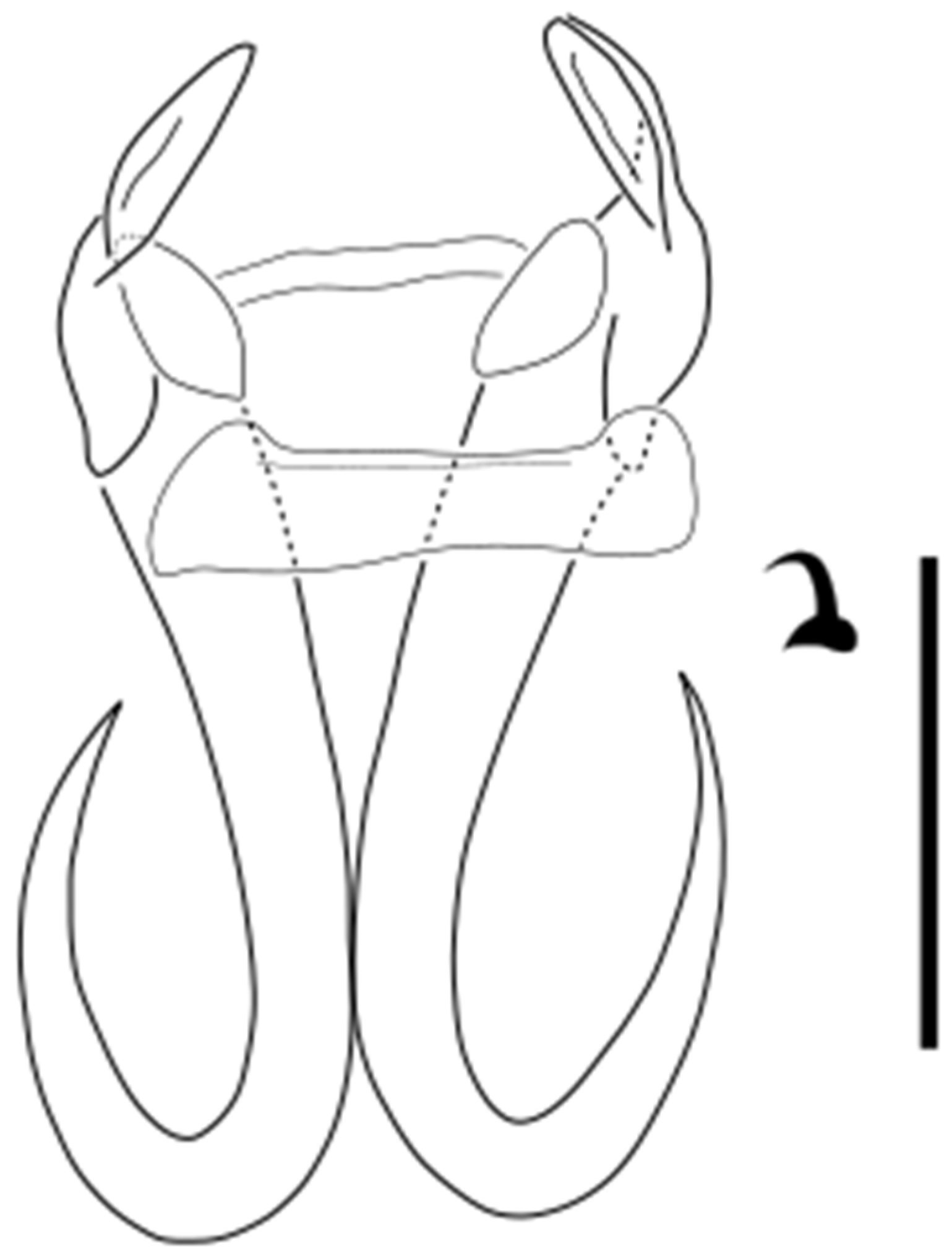 Parasitologia 05 00061 g019