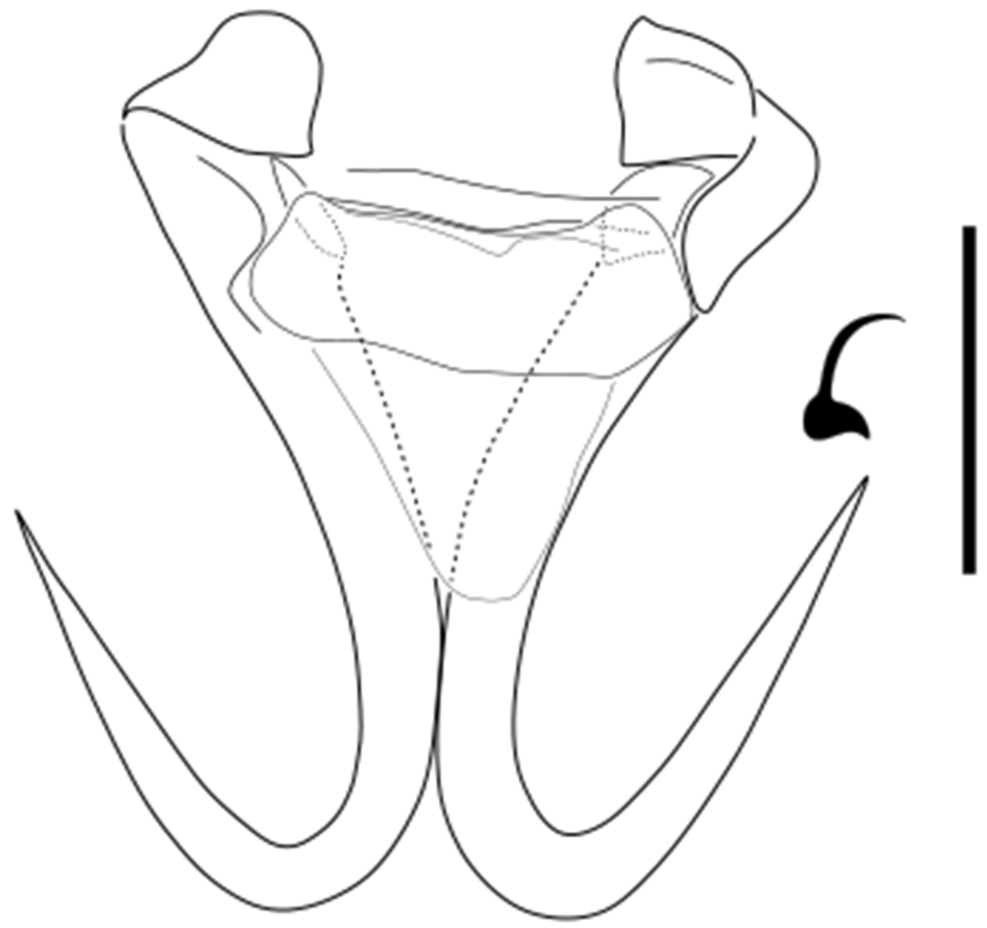 Parasitologia 05 00061 g020
