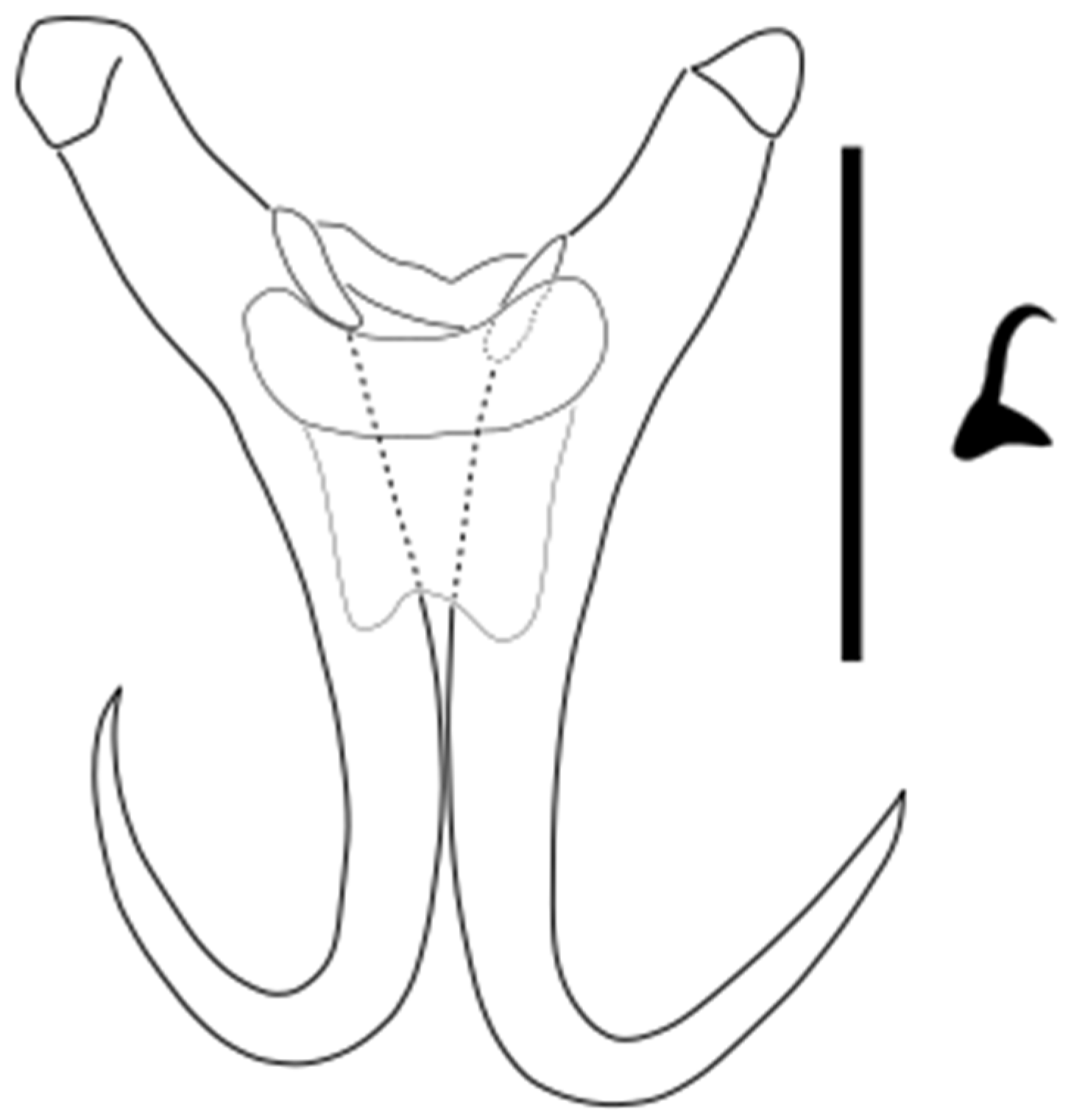 Parasitologia 05 00061 g021