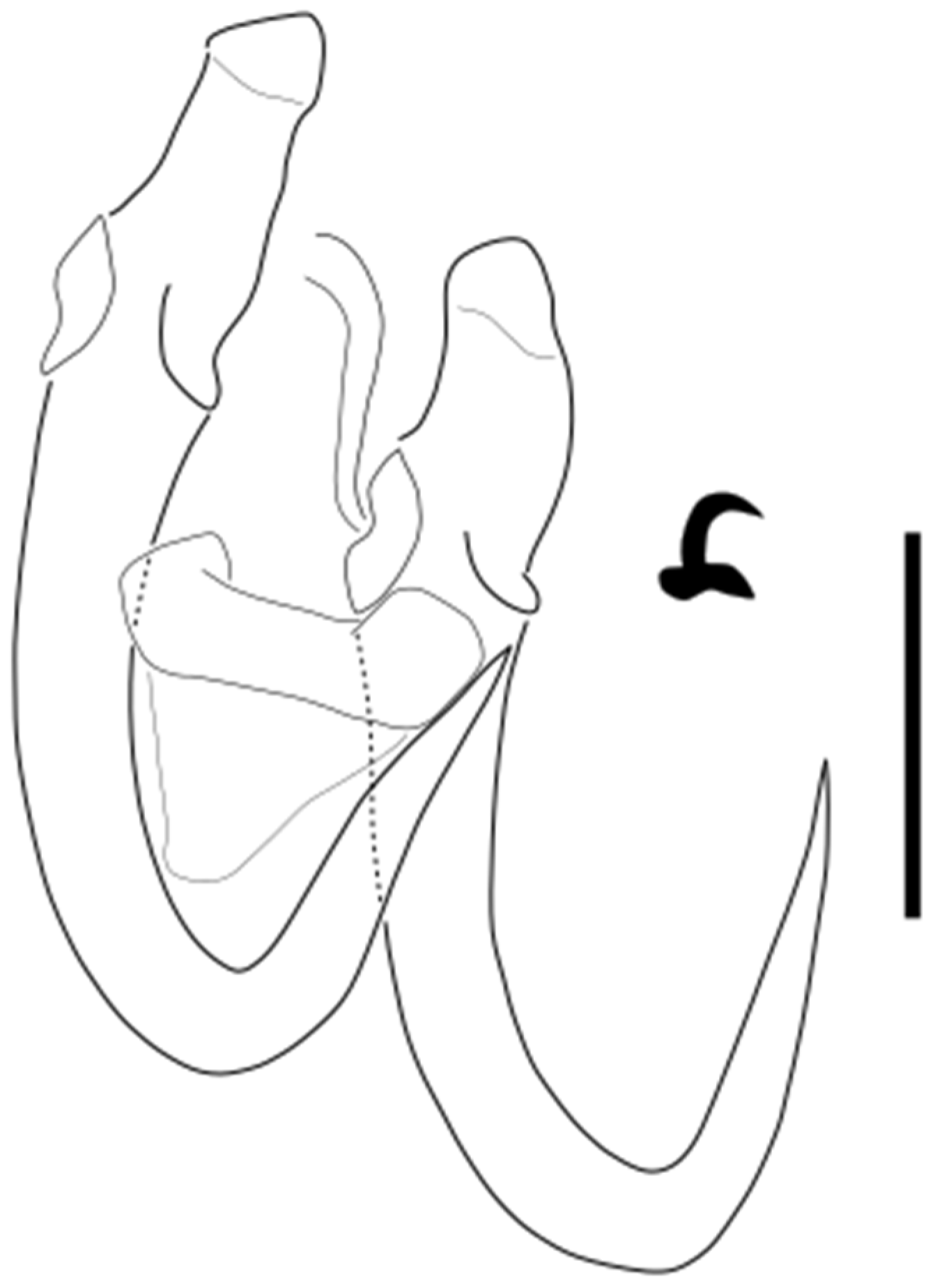 Parasitologia 05 00061 g022