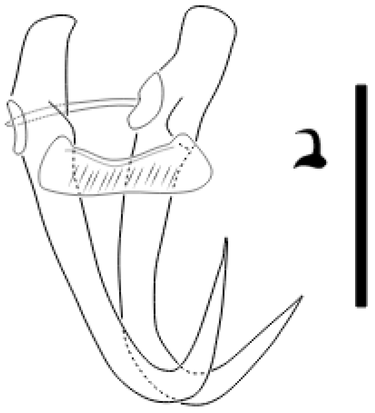 Parasitologia 05 00061 g023