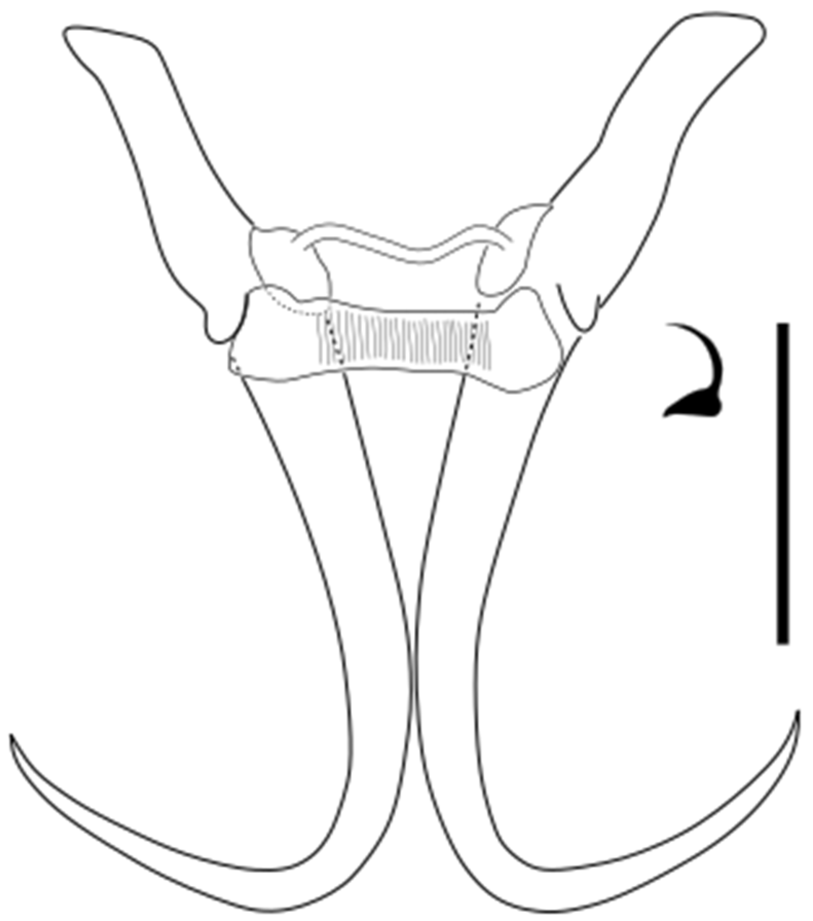 Parasitologia 05 00061 g024