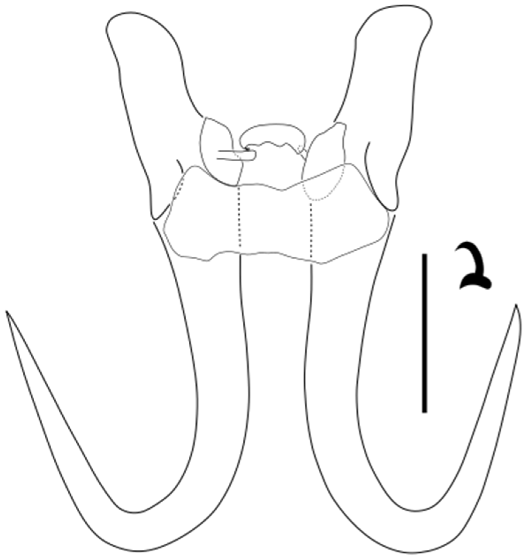 Parasitologia 05 00061 g025