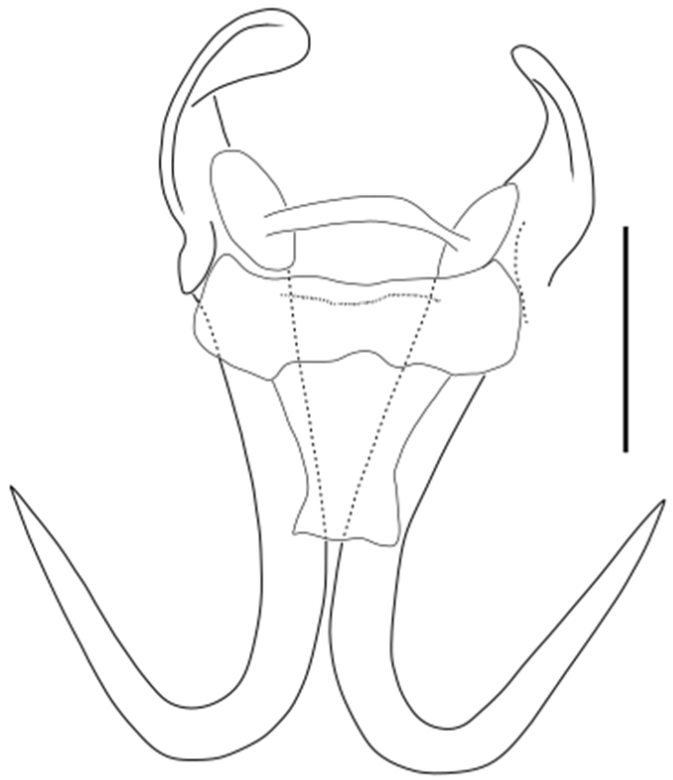 Parasitologia 05 00061 g028