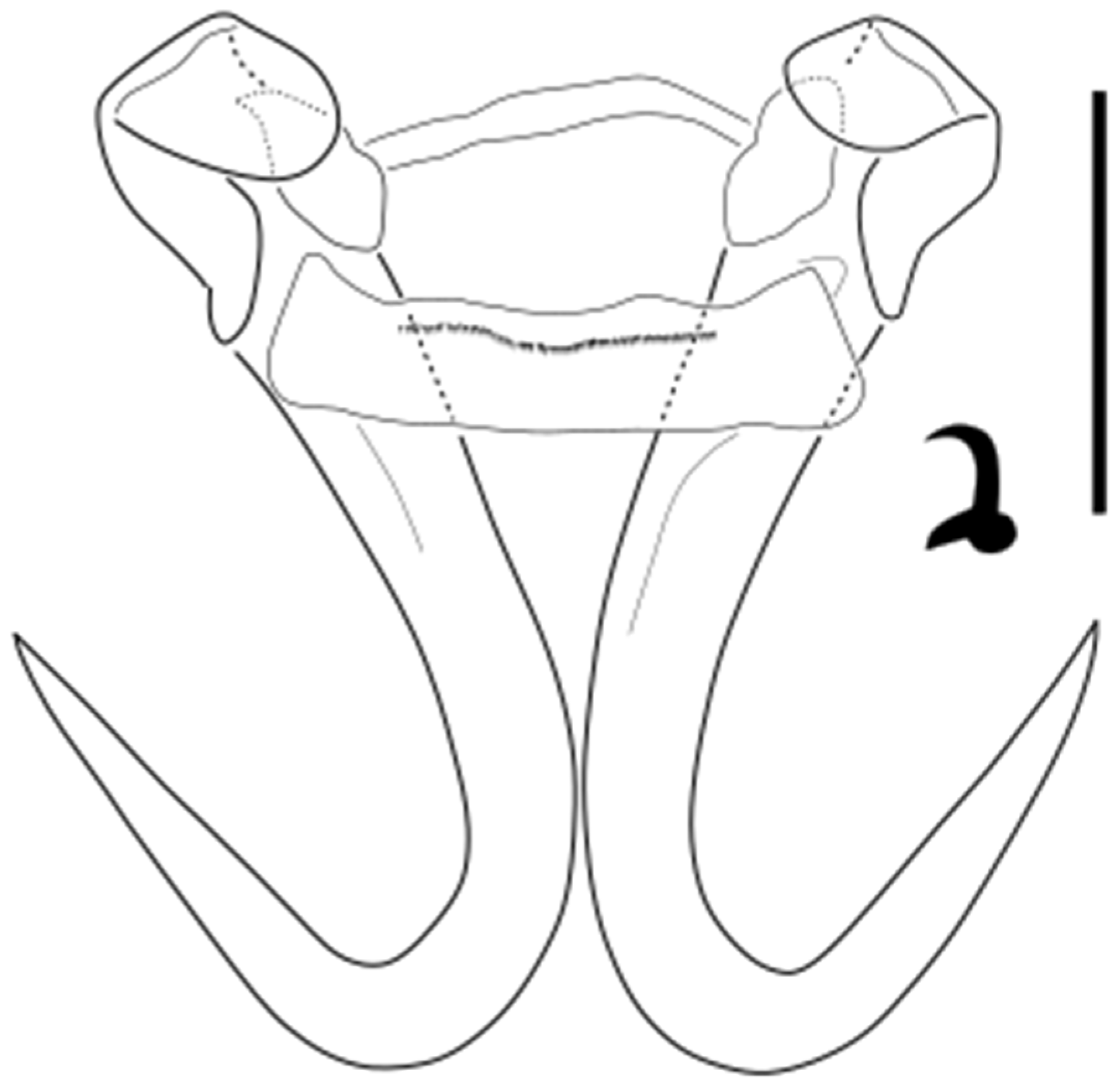 Parasitologia 05 00061 g029