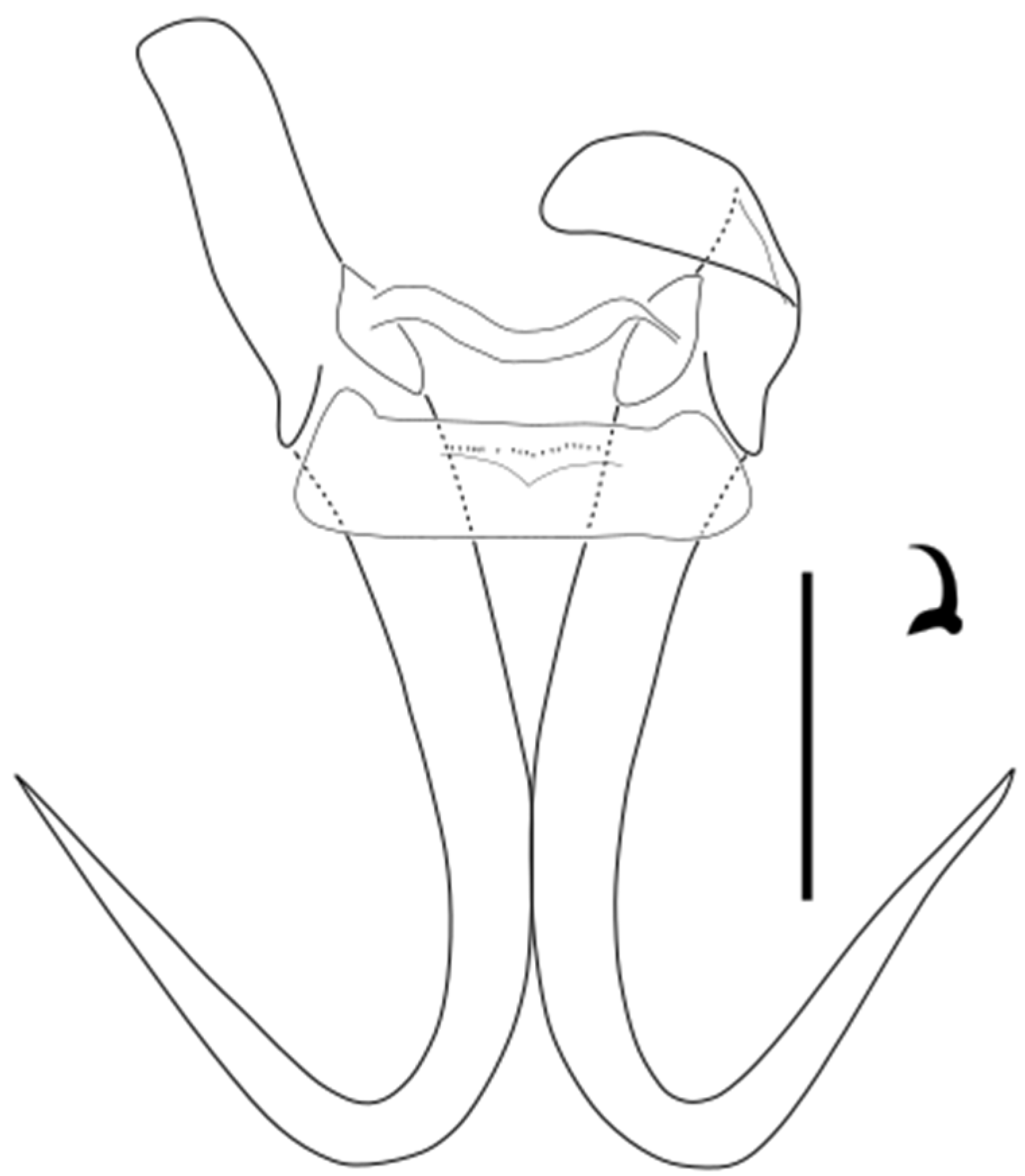 Parasitologia 05 00061 g030