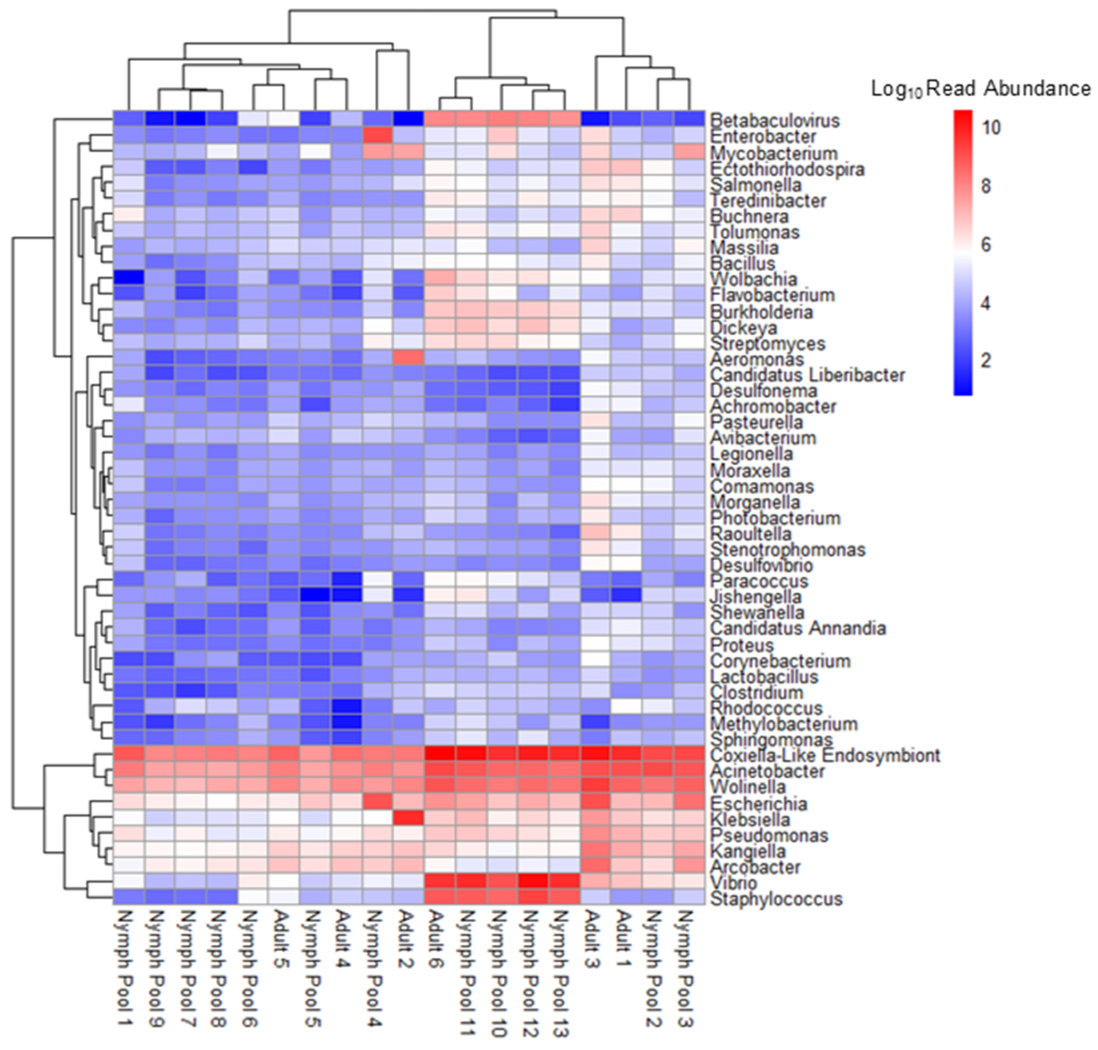 Parasitologia 05 00064 g002 Parasitologia 05 00064 g002