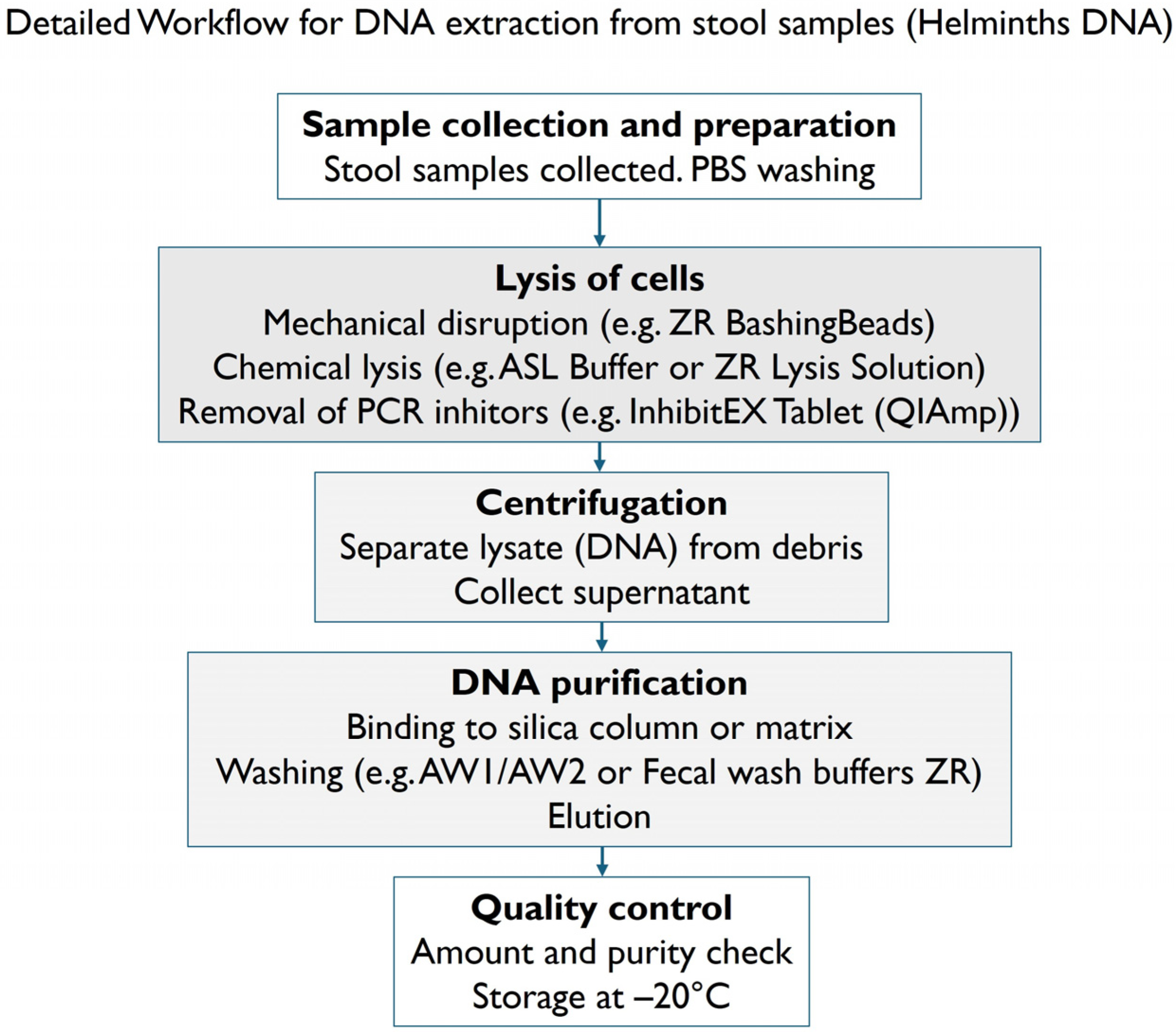 Parasitologia 06 00003 g002 Parasitologia 06 00003 g002