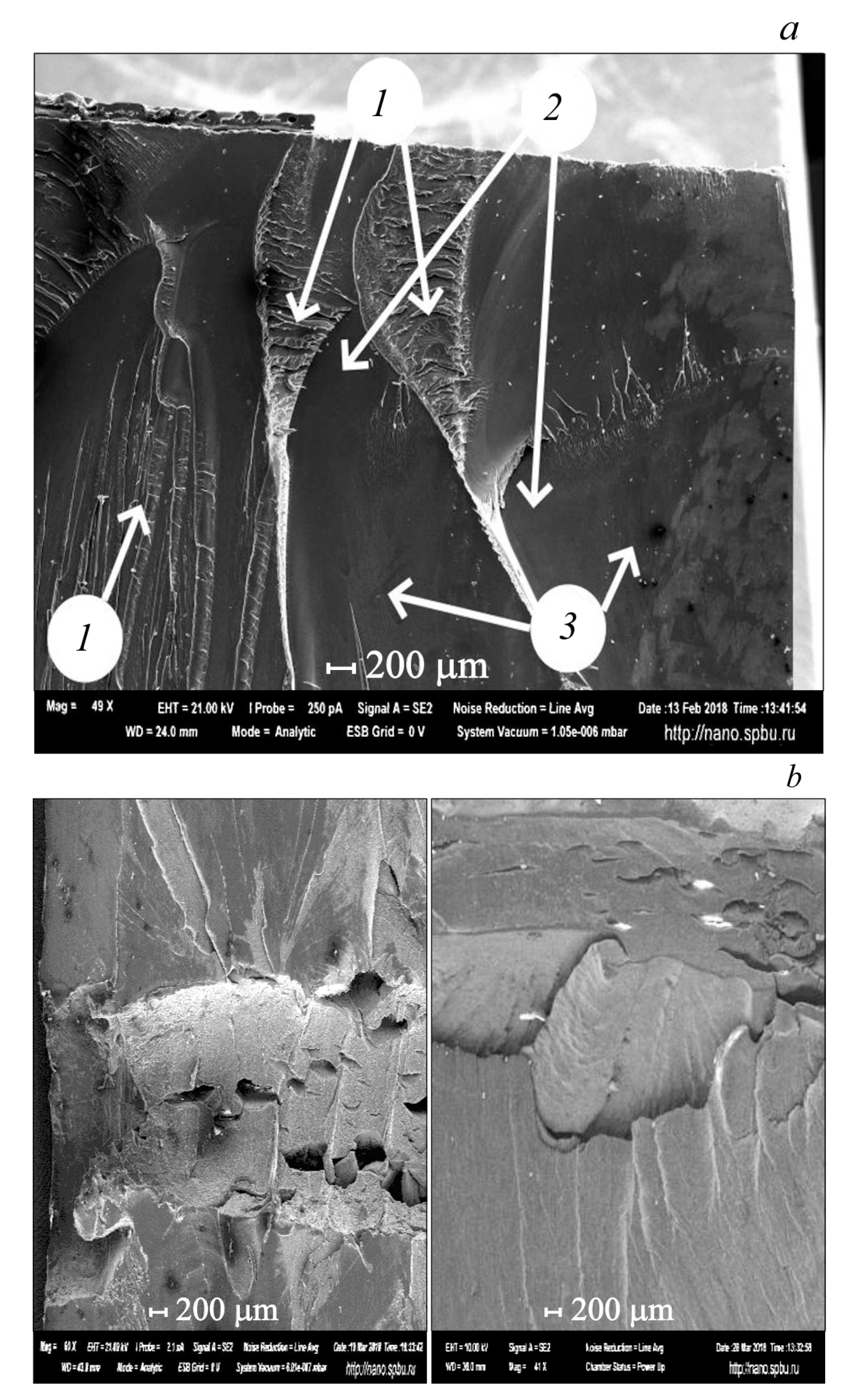 Particles 03 00038 g001