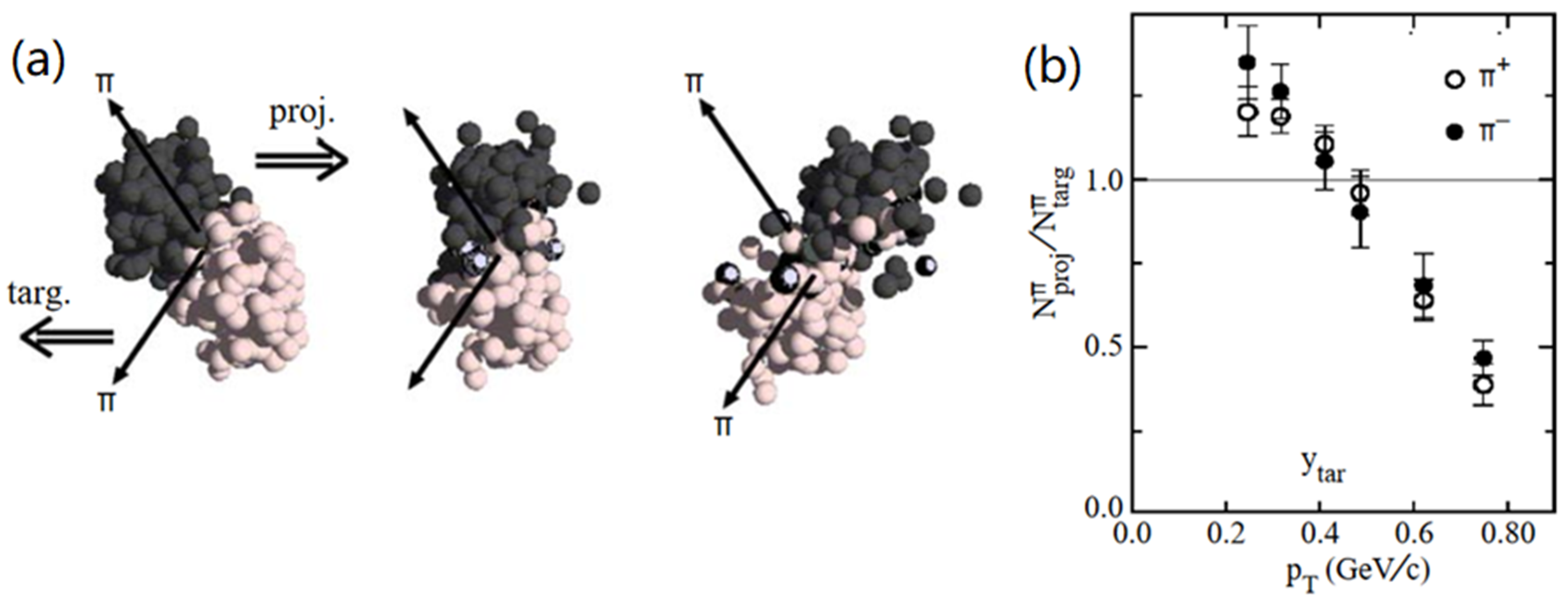 Particles 05 00003 g005 Particles 05 00003 g005