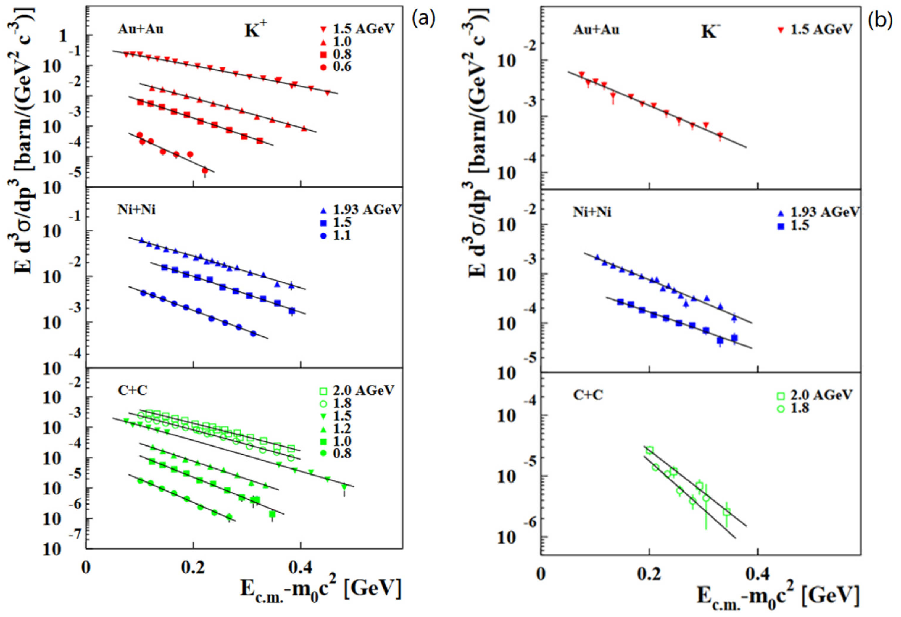 Particles 05 00003 g008 Particles 05 00003 g008