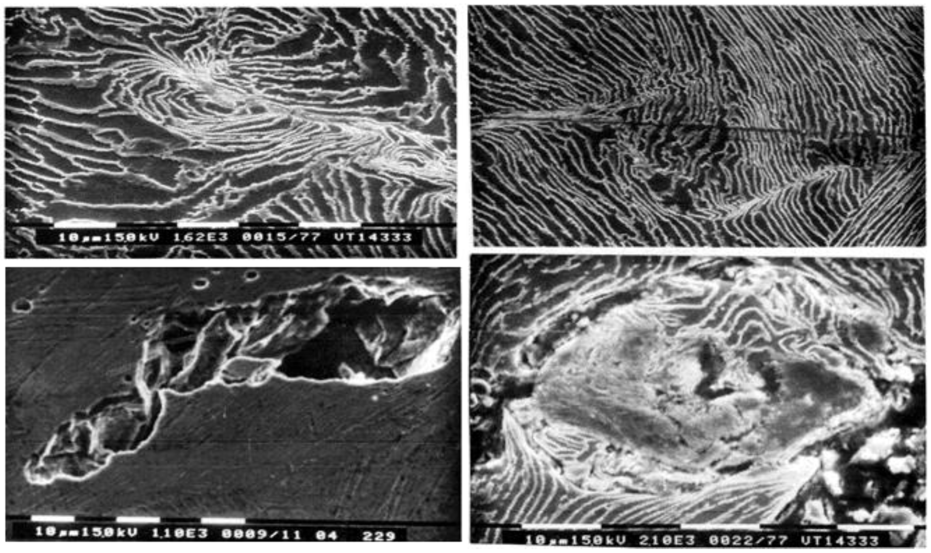 Particles 05 00032 g005