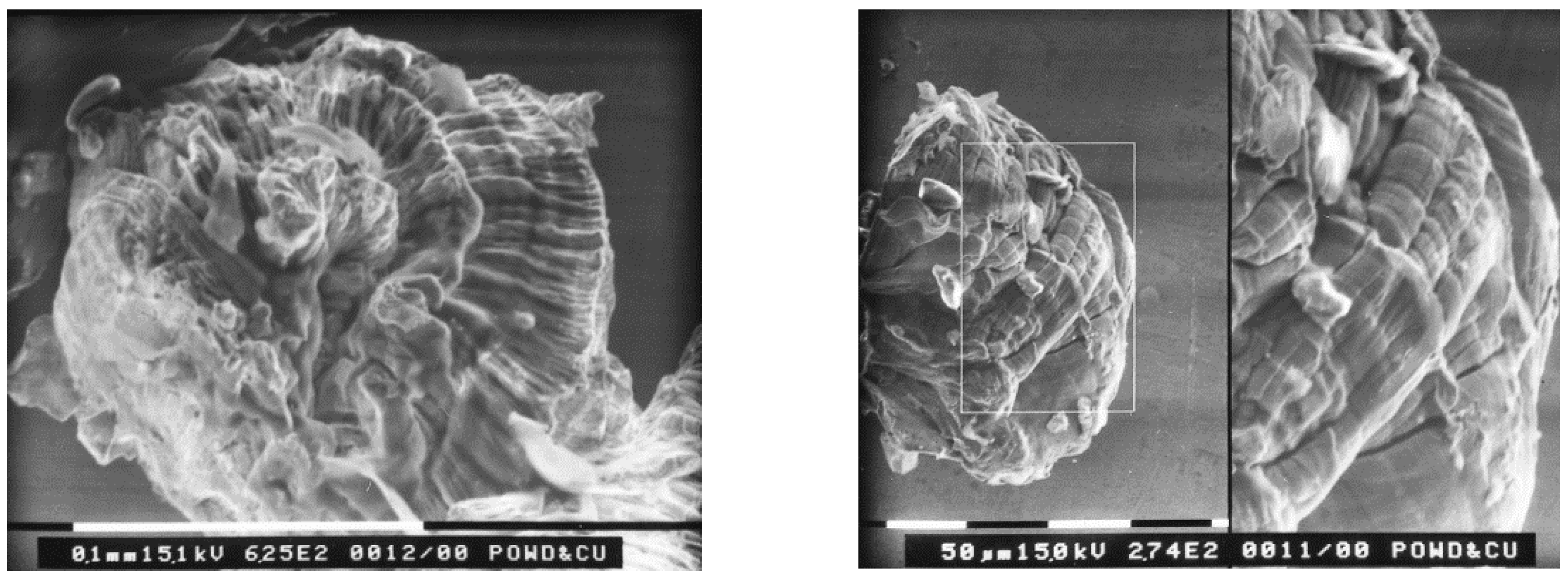 Particles 05 00032 g009