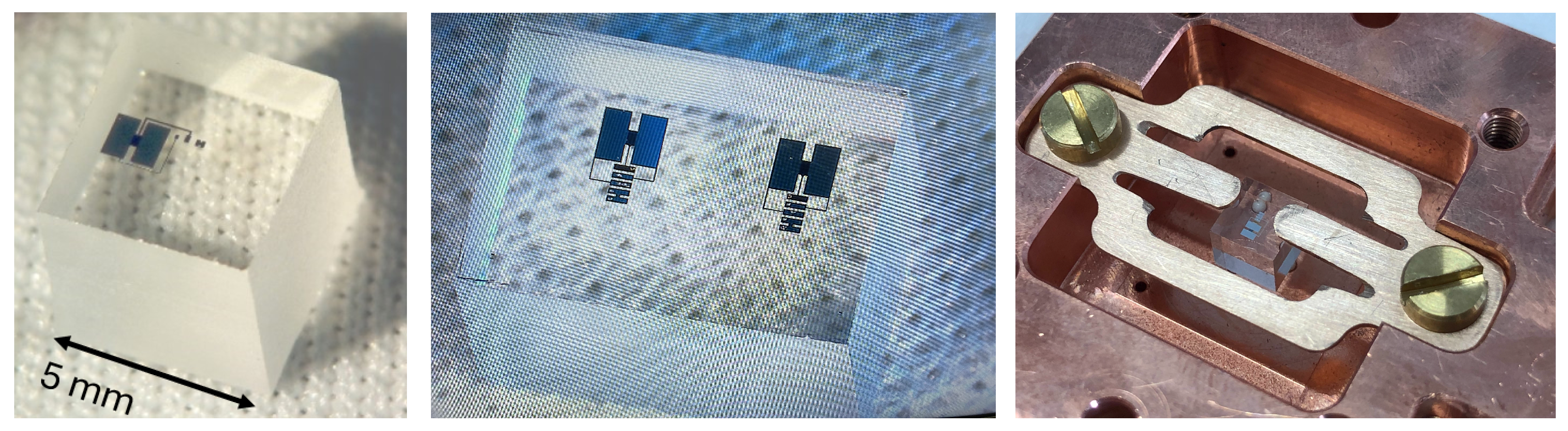 Particles 08 00008 g003