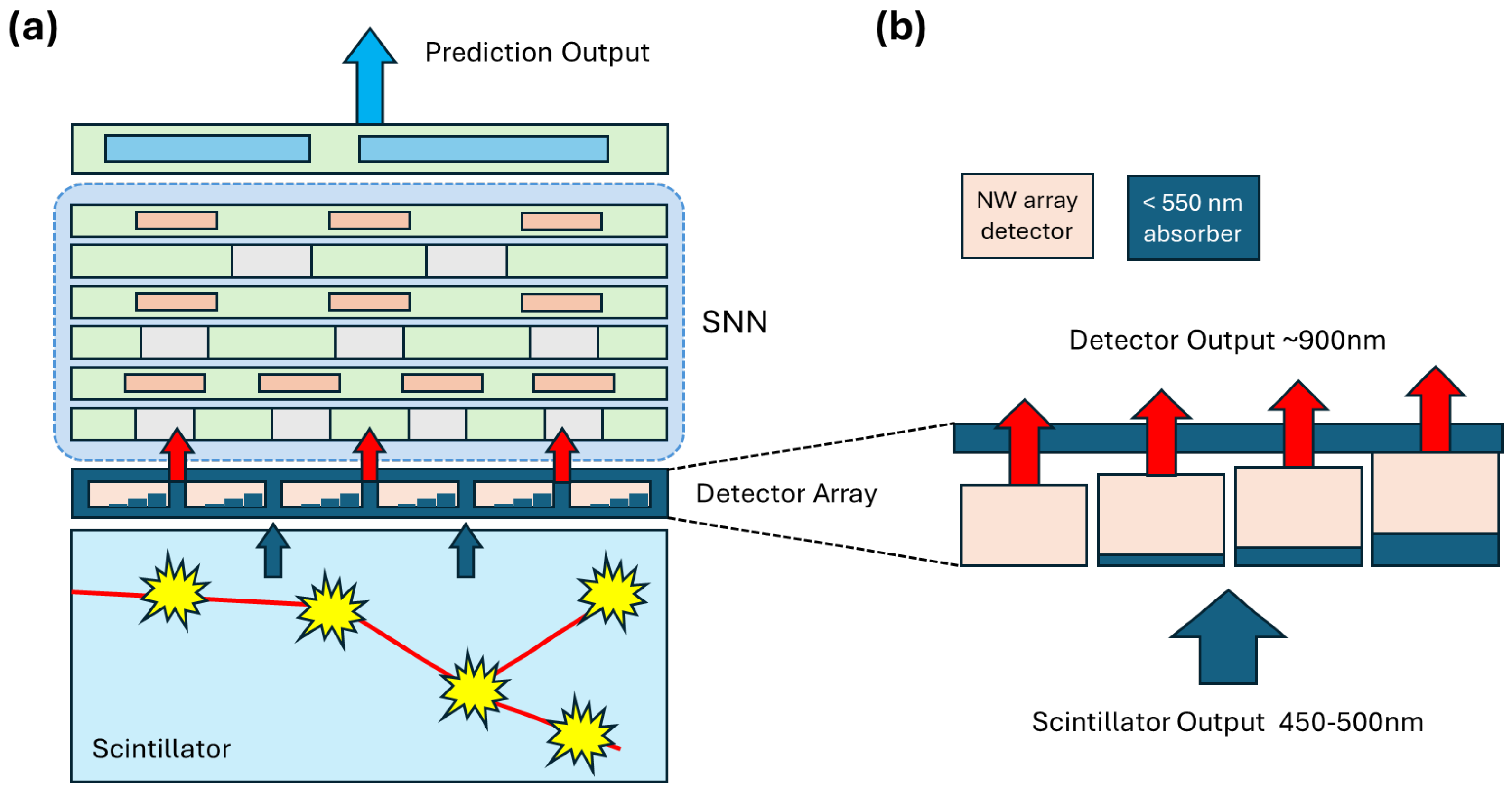 Particles 08 00052 g012