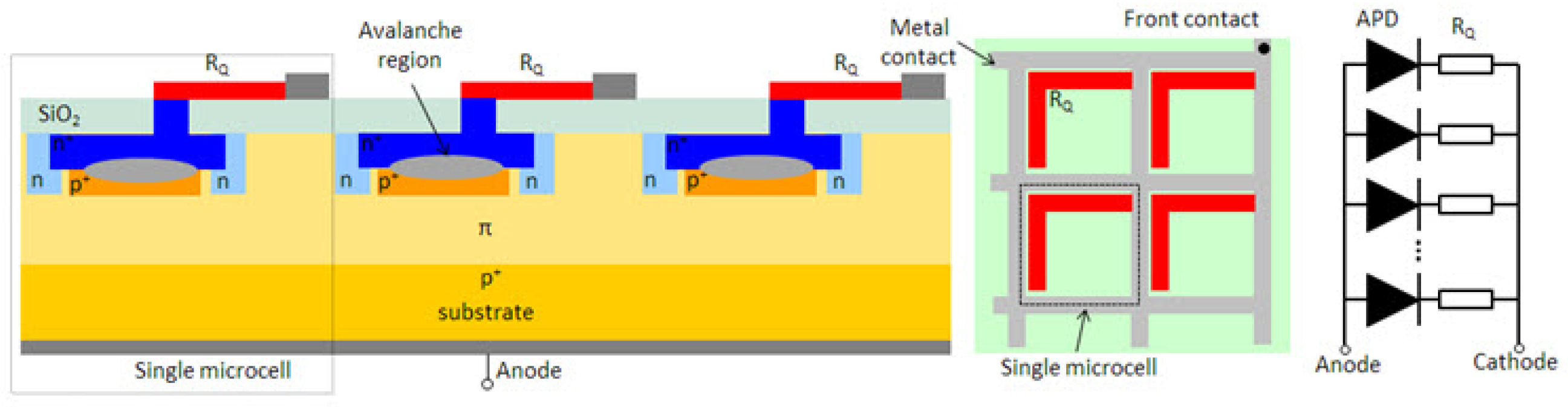 Particles 08 00096 g001
