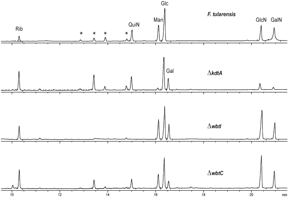 Pathogens 01 00012 g002 1024