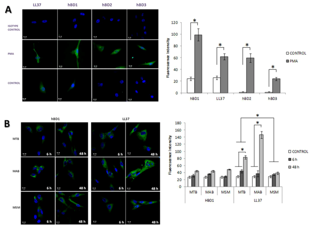 Pathogens 02 00013 g005 1024
