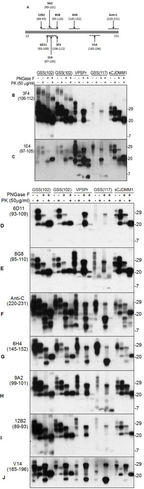 Pathogens 02 00457 g001