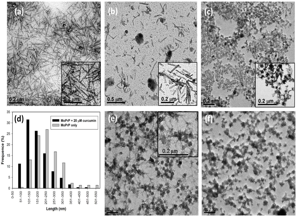Pathogens 02 00506 g003